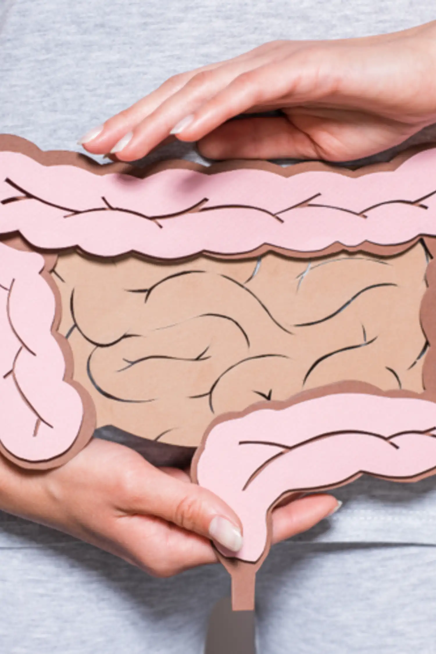 Health-Talk: "Happy gut"