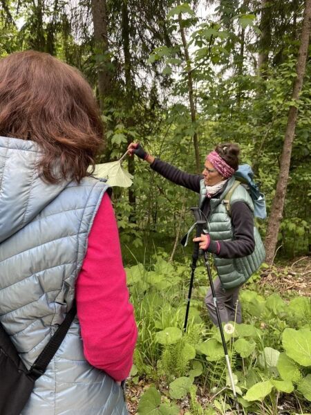 Alpine Herb Hike