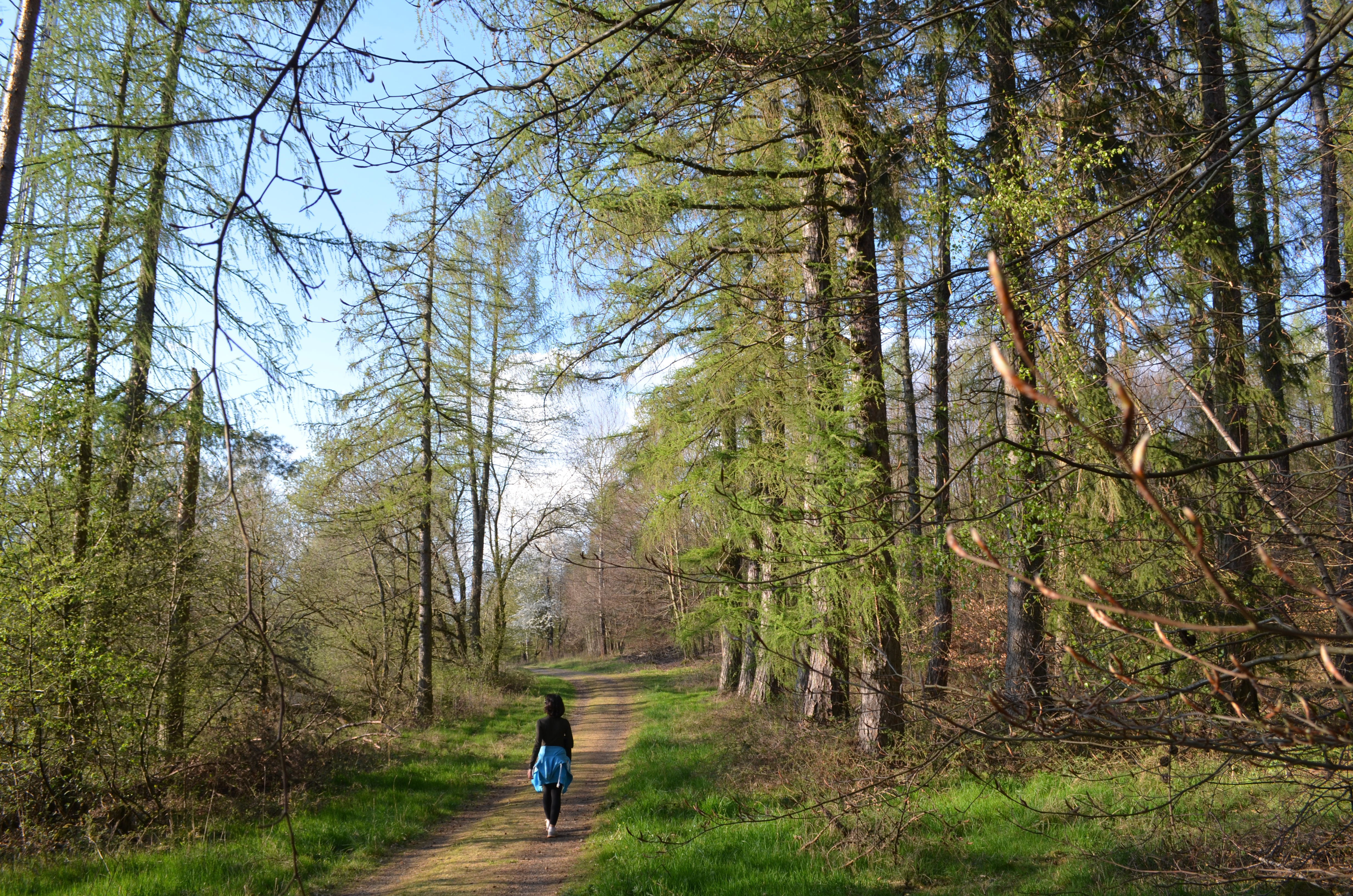 Waldbaden im Walserhof
