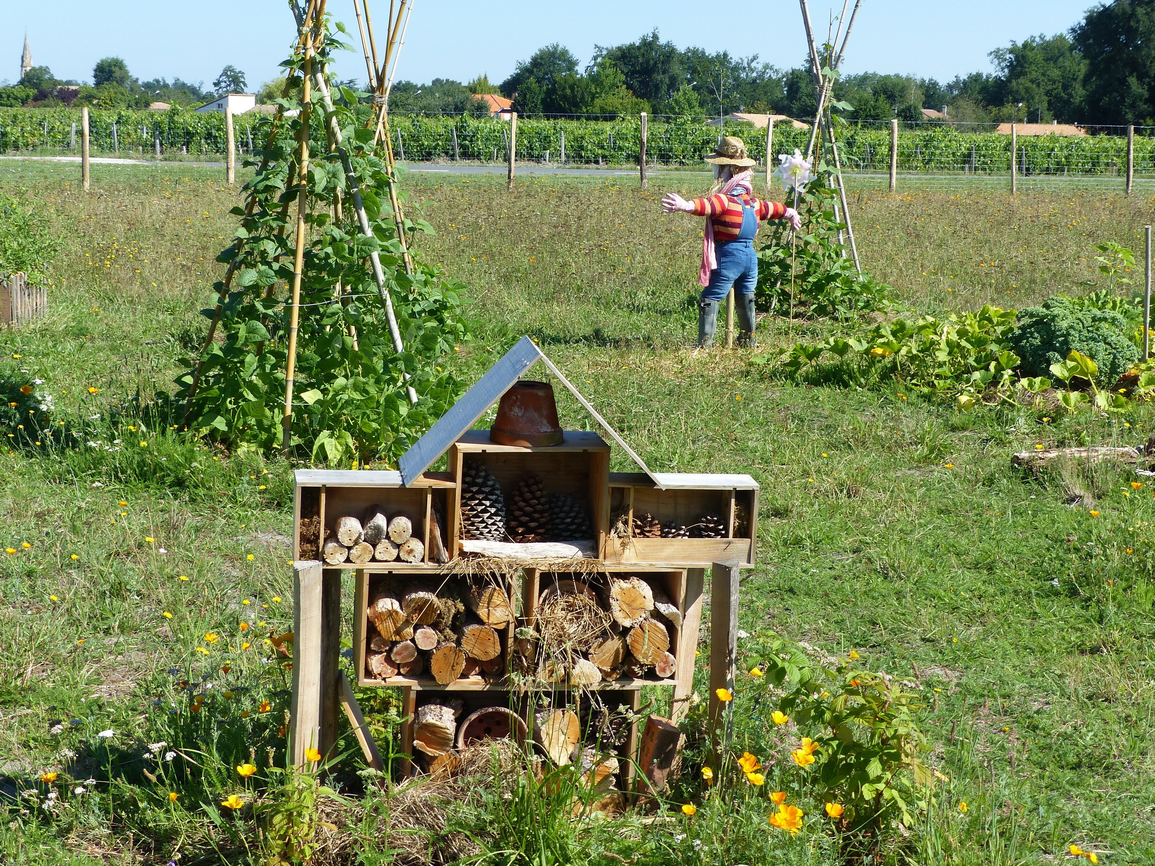 In the garden of diversity - discover permaculture