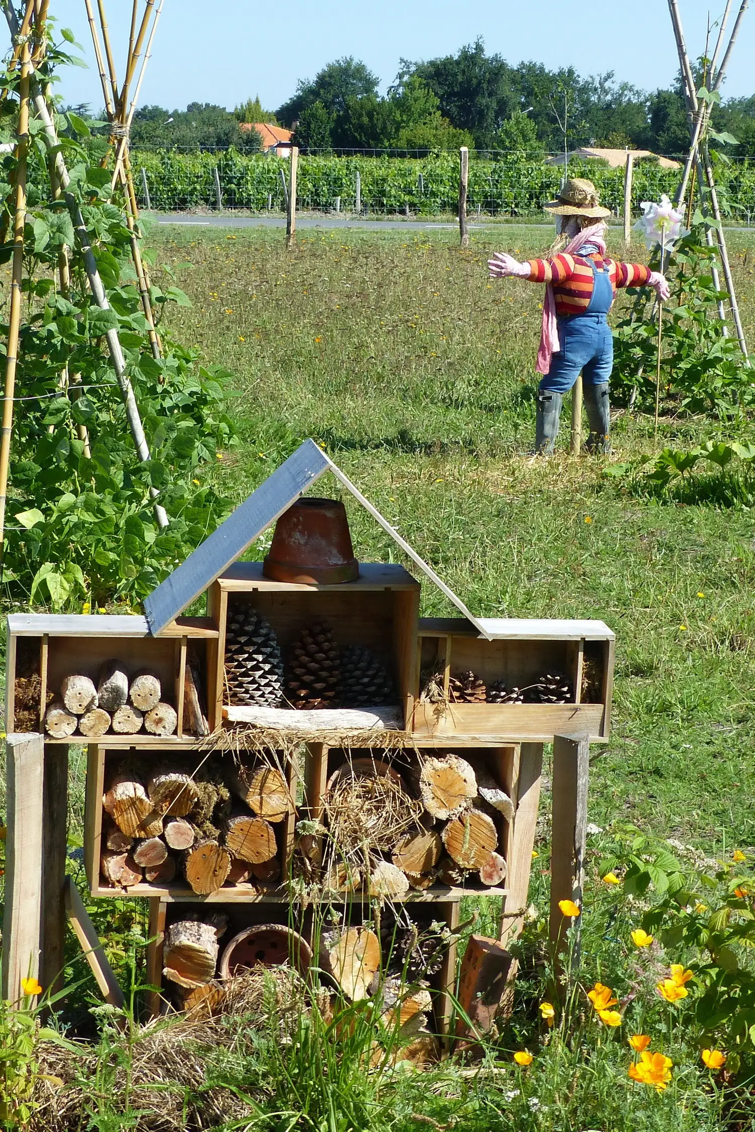 Im Garten der Vielfalt - Permakultur entdecken