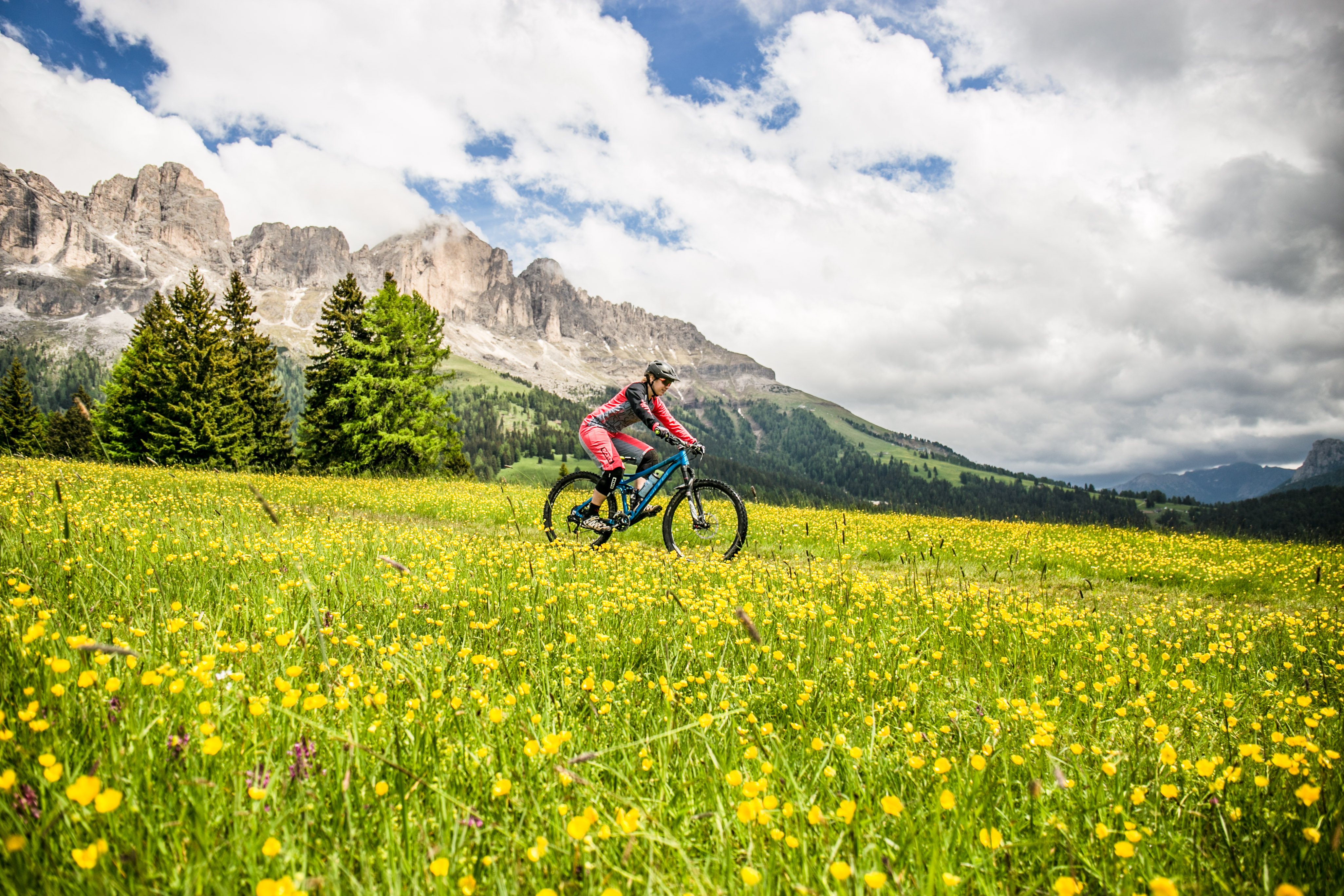 Guided mountain bike tour