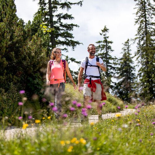 Hike to the Wolfschwang viewpoint