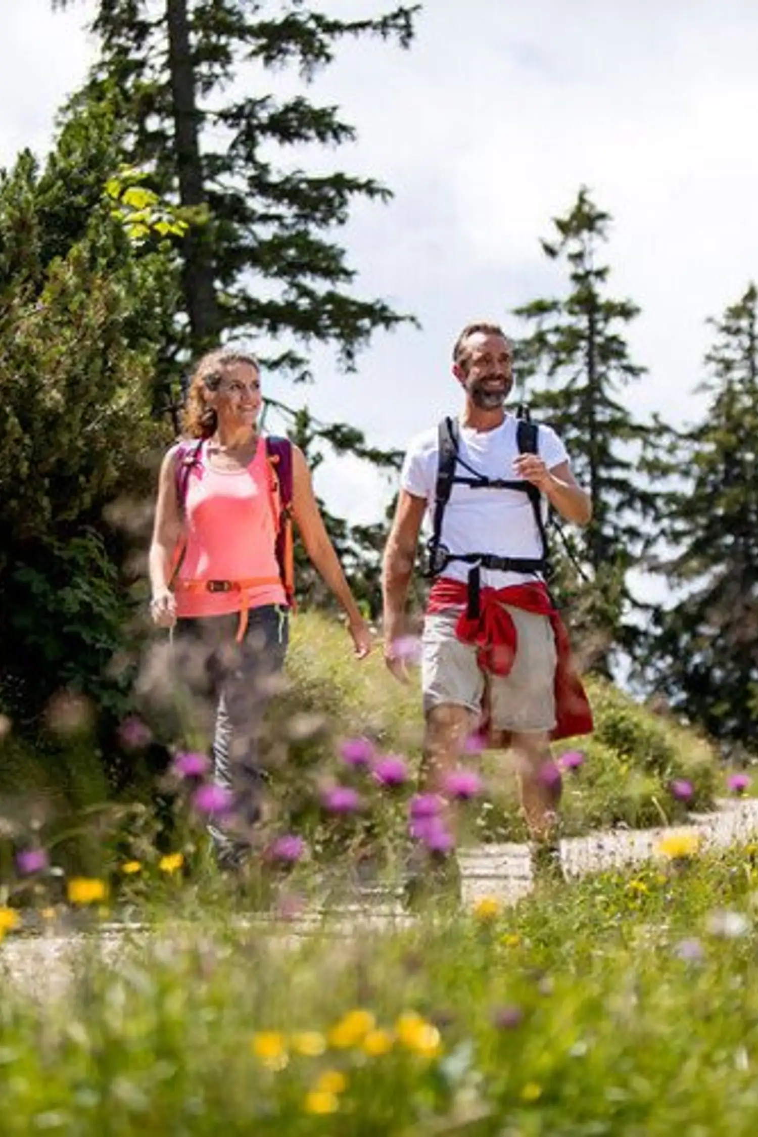 Wanderung zum Aussichtspunkt Wolfschwang