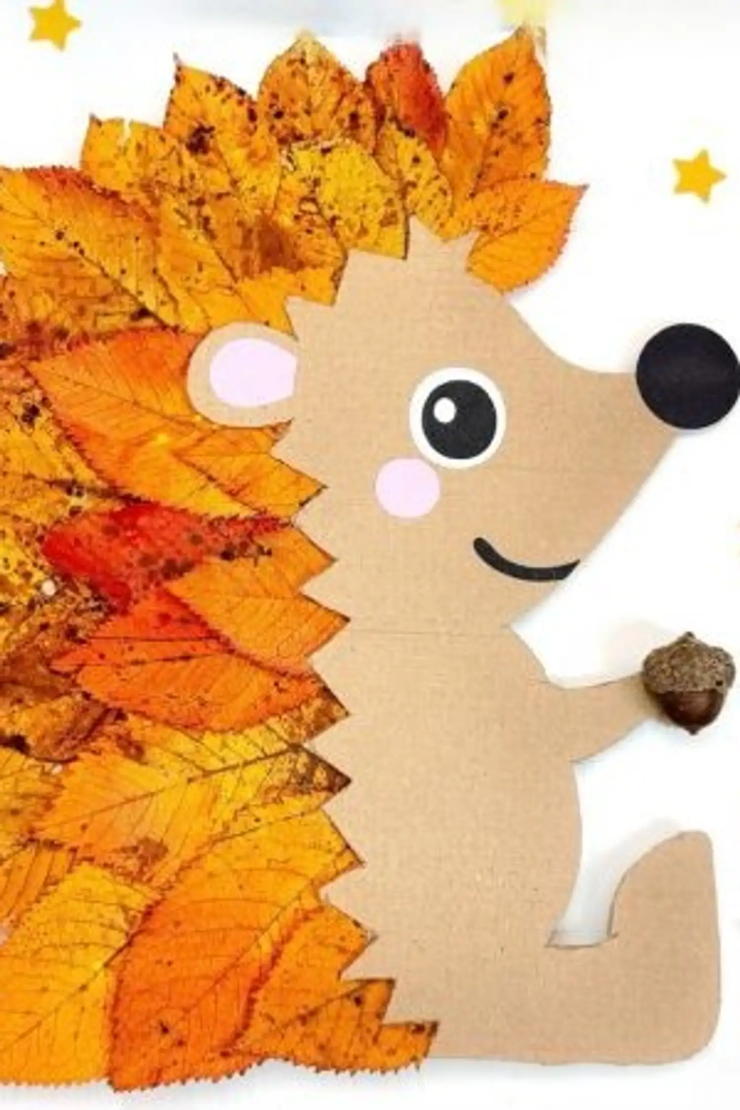 Little Hedgehogs