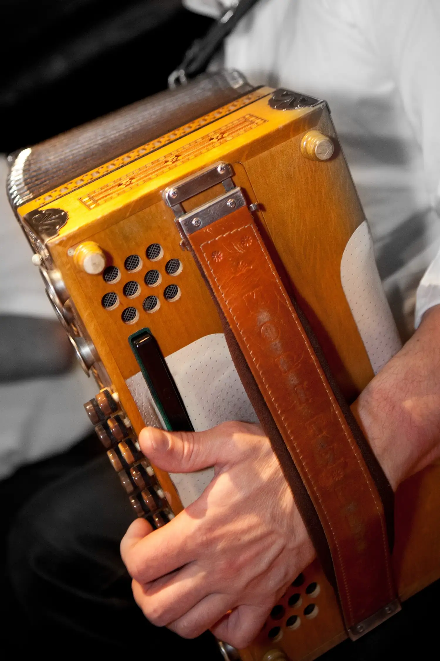 Live Organic Folk Music