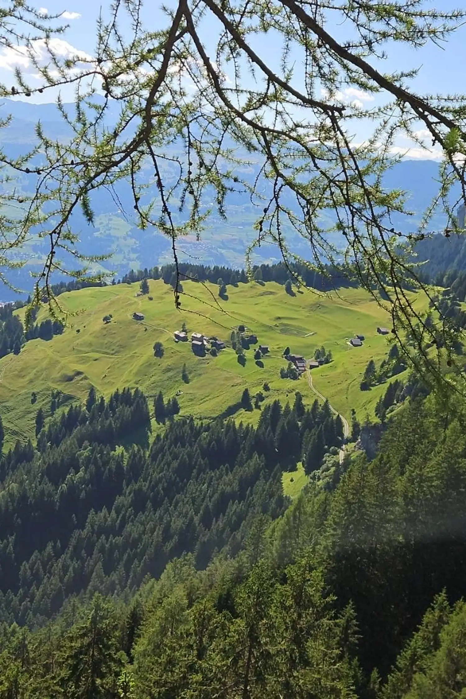 Slide 2