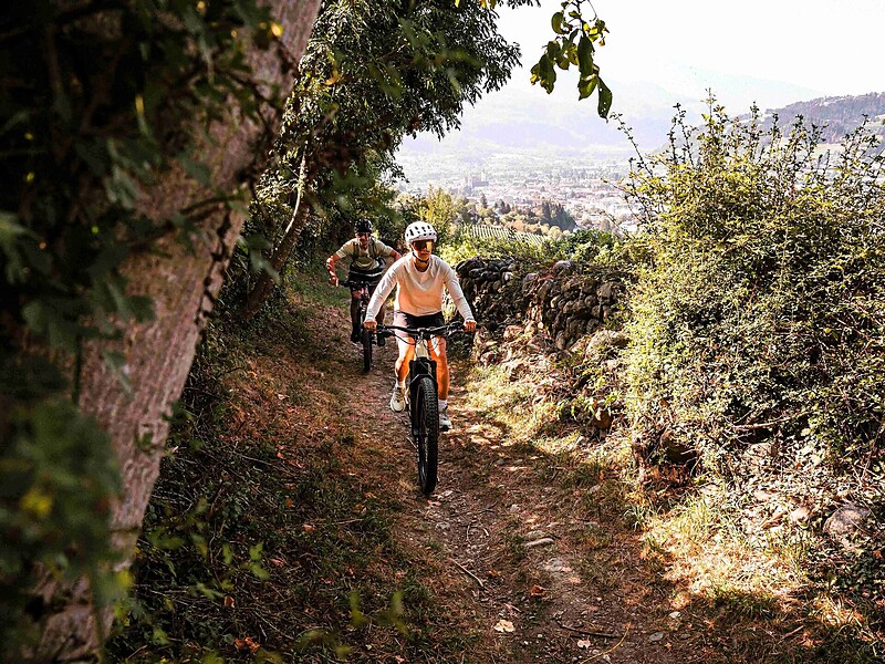 e-MTB: Trail & Co on the apple plateau