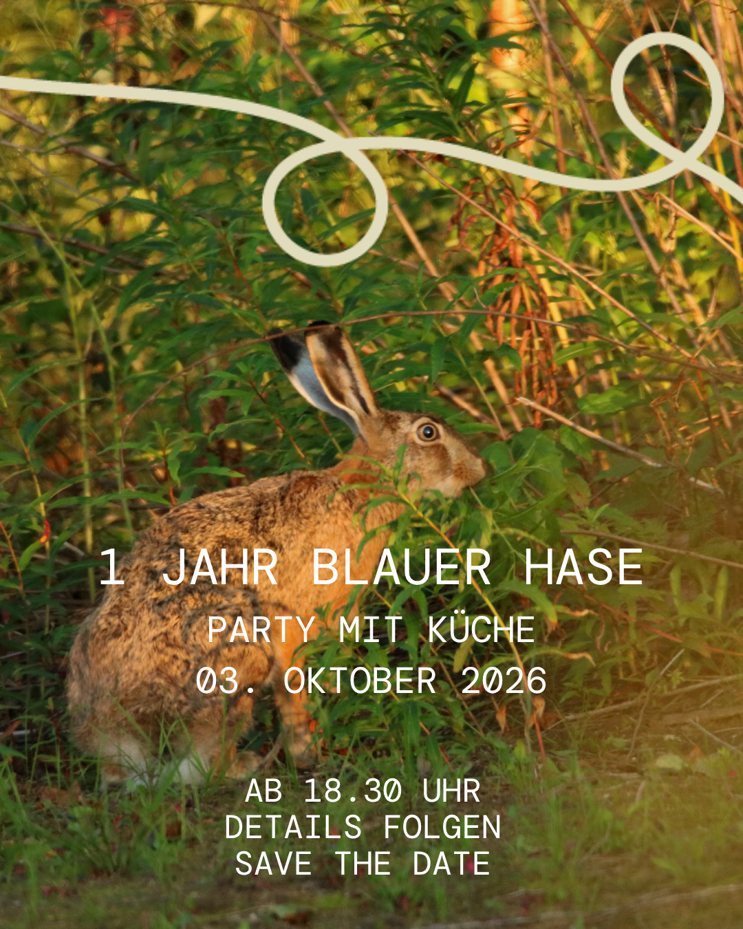 1 Jahr Blauer Hase - Party mit Küche