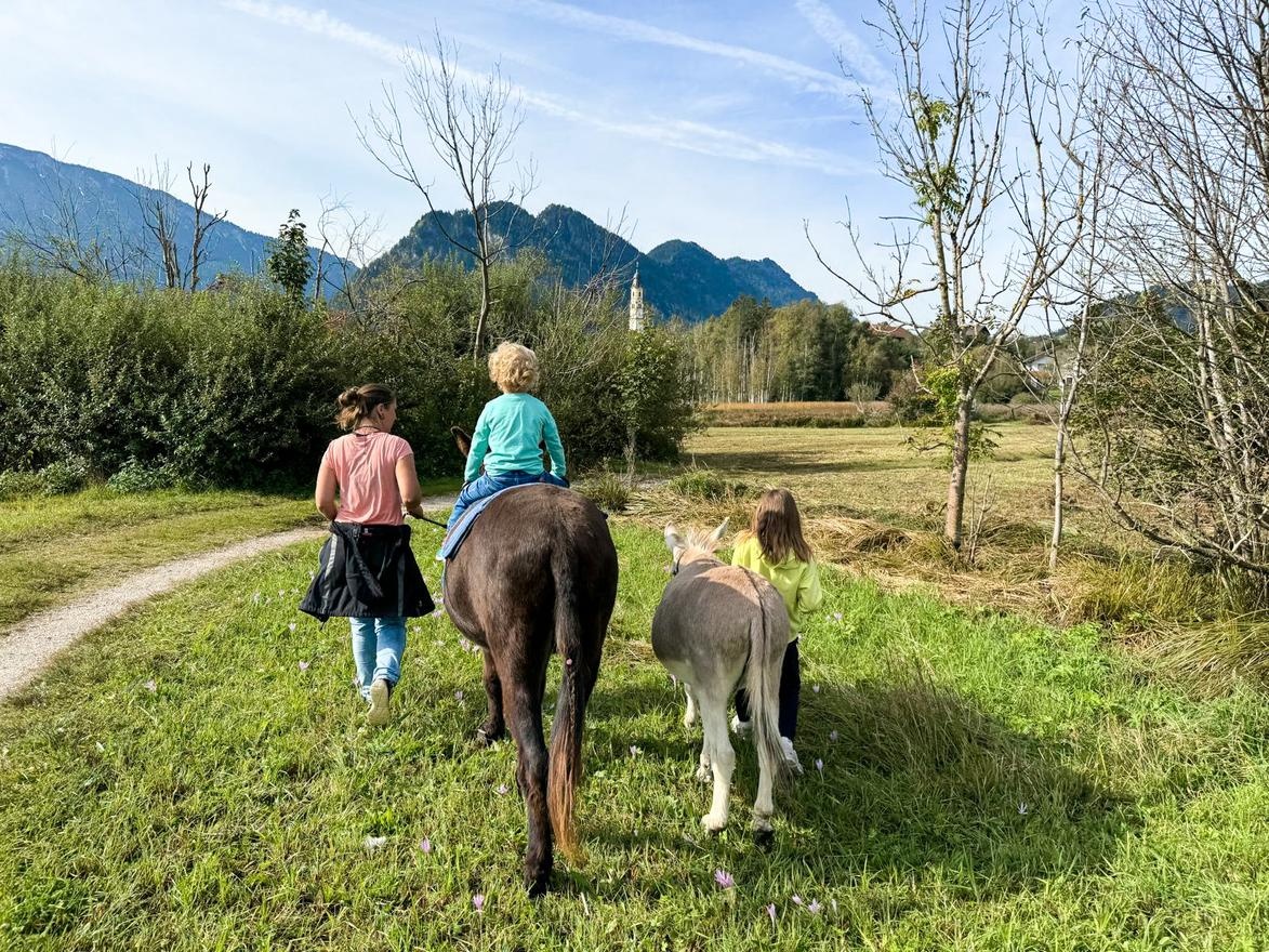 Eselwanderung in Pfronten