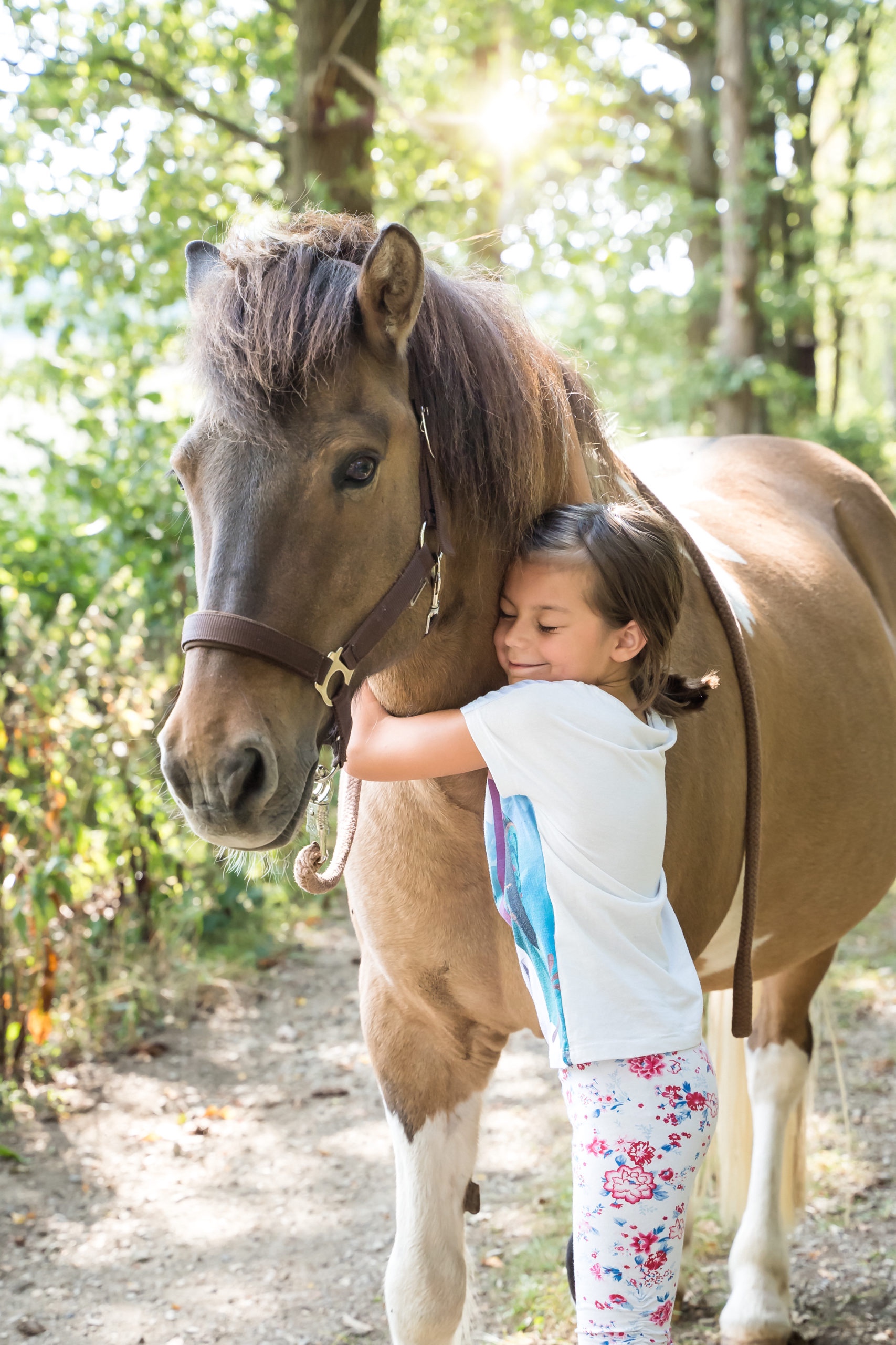 Pony ABC