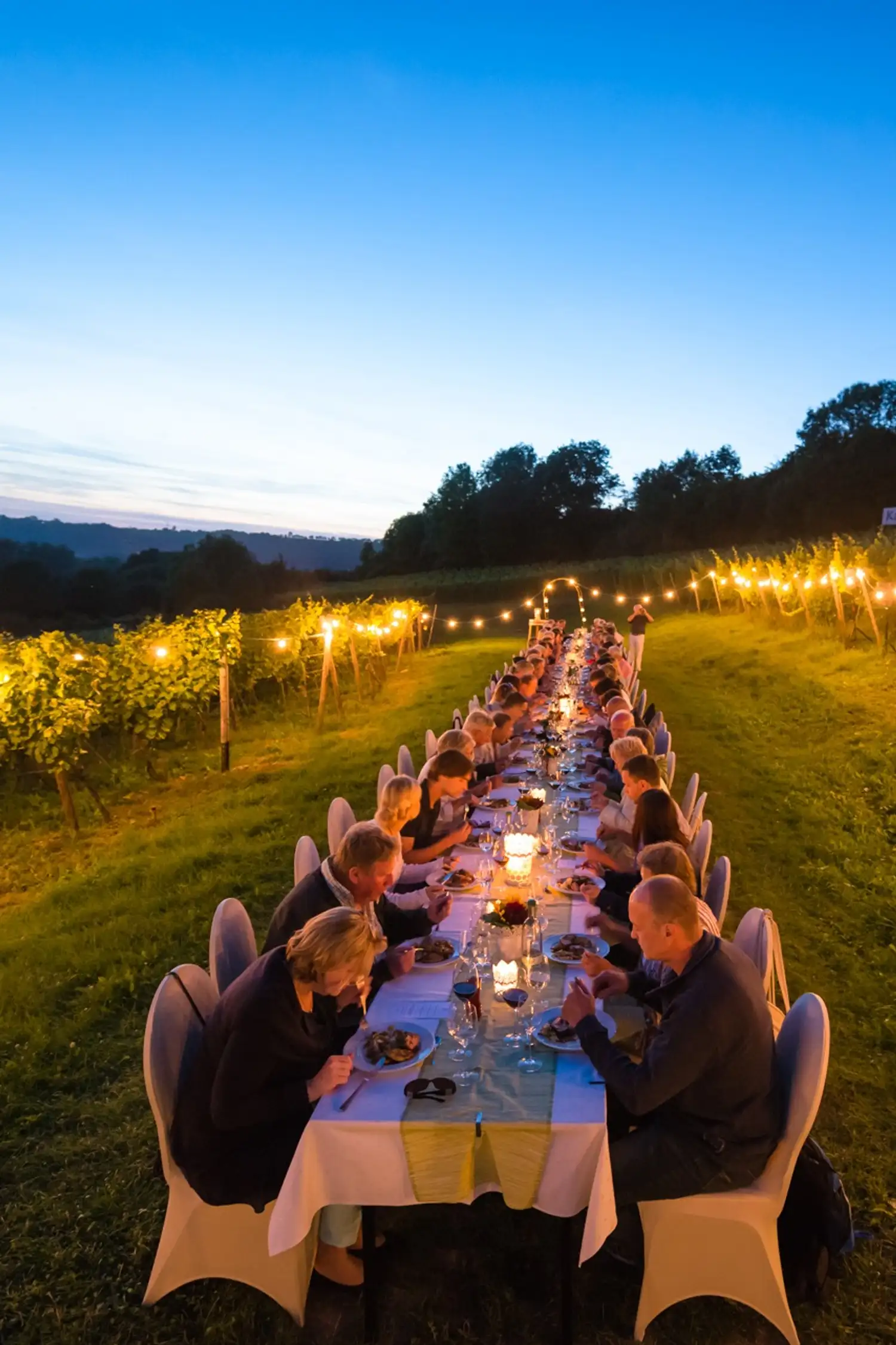 Tafeln im Dachsberg – Exklusiver Sommergenuss in den Weinbergen