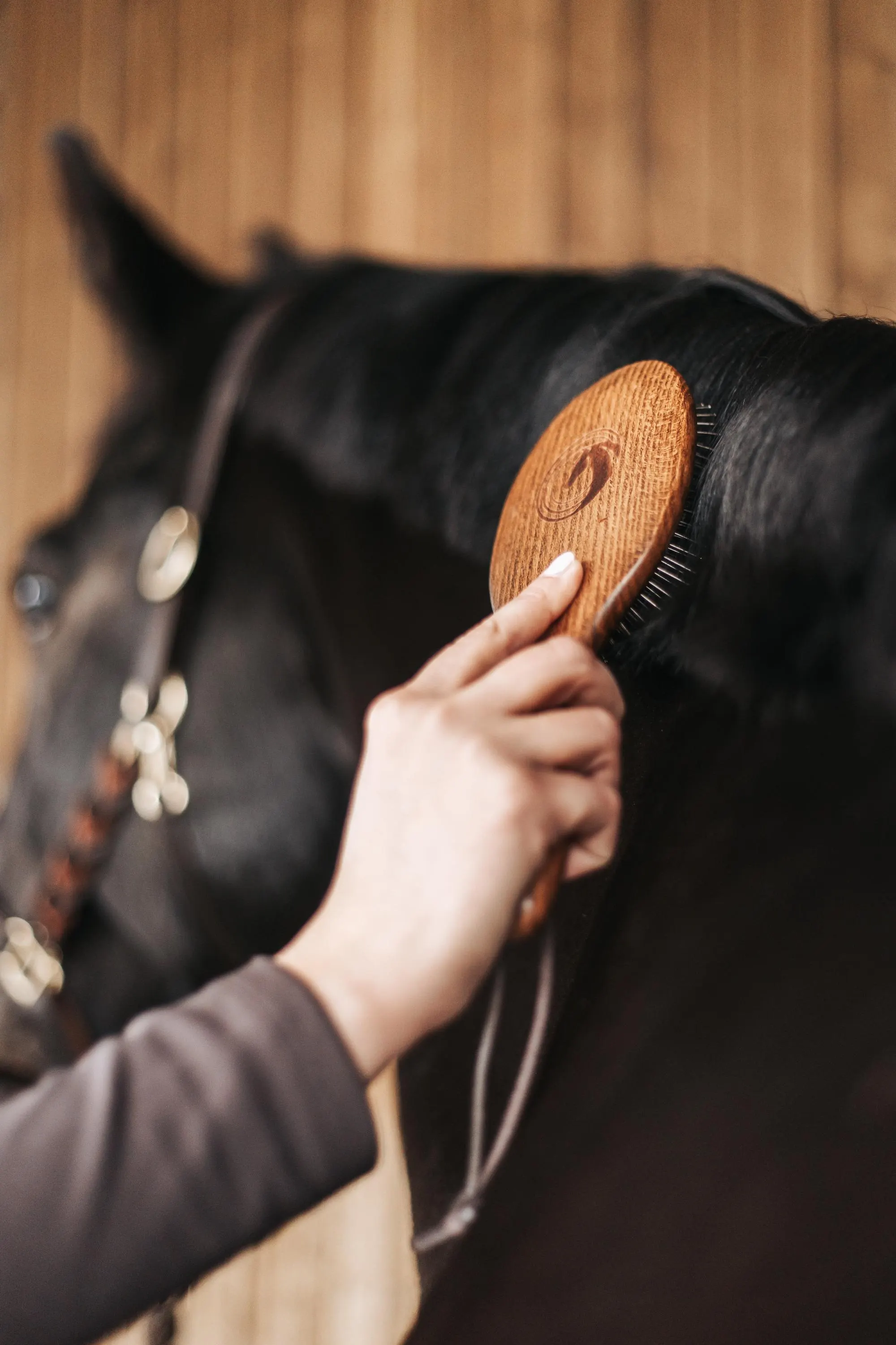 Mane and tail care and braiding