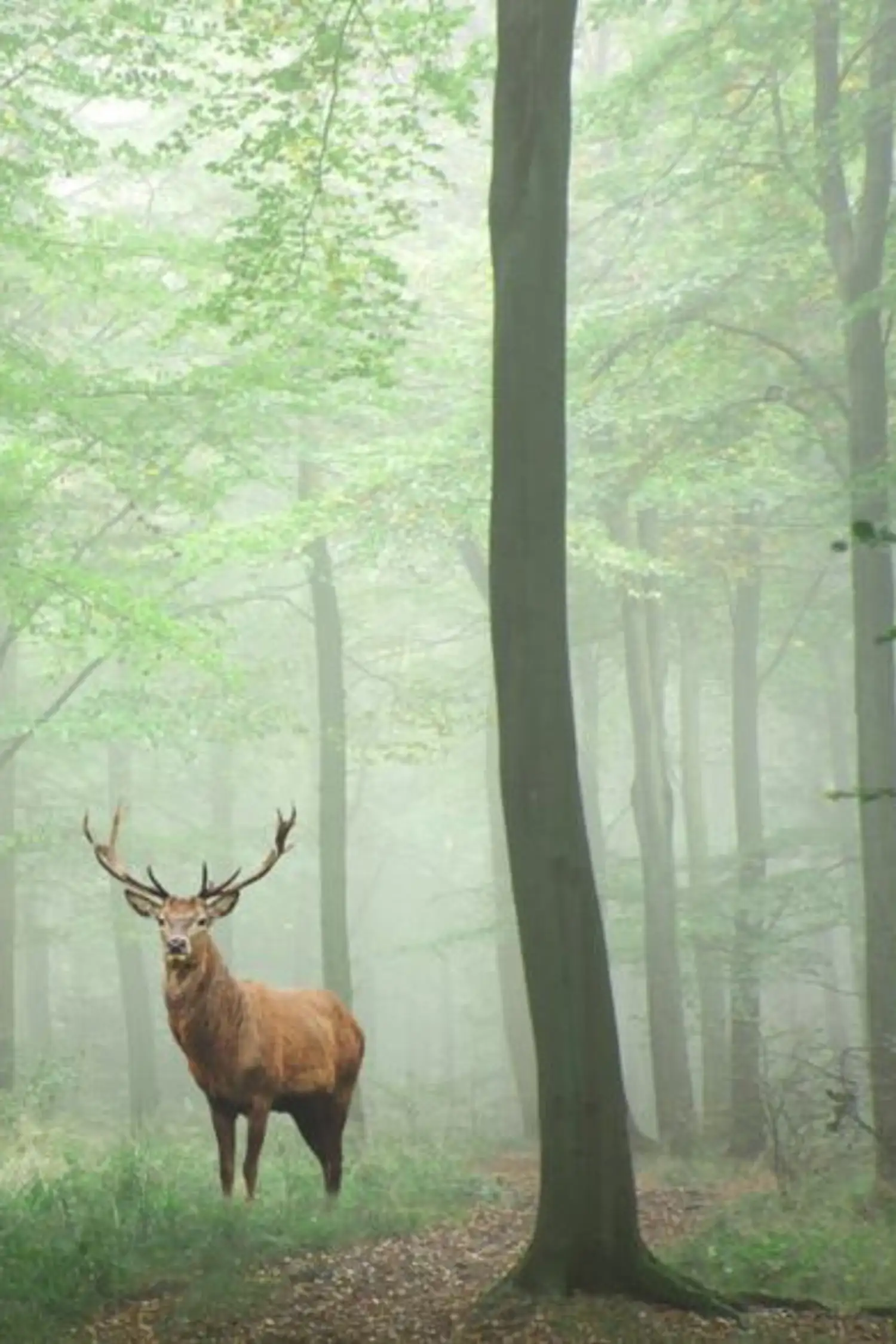 Wildwochen im Sportresort Alpenblick 