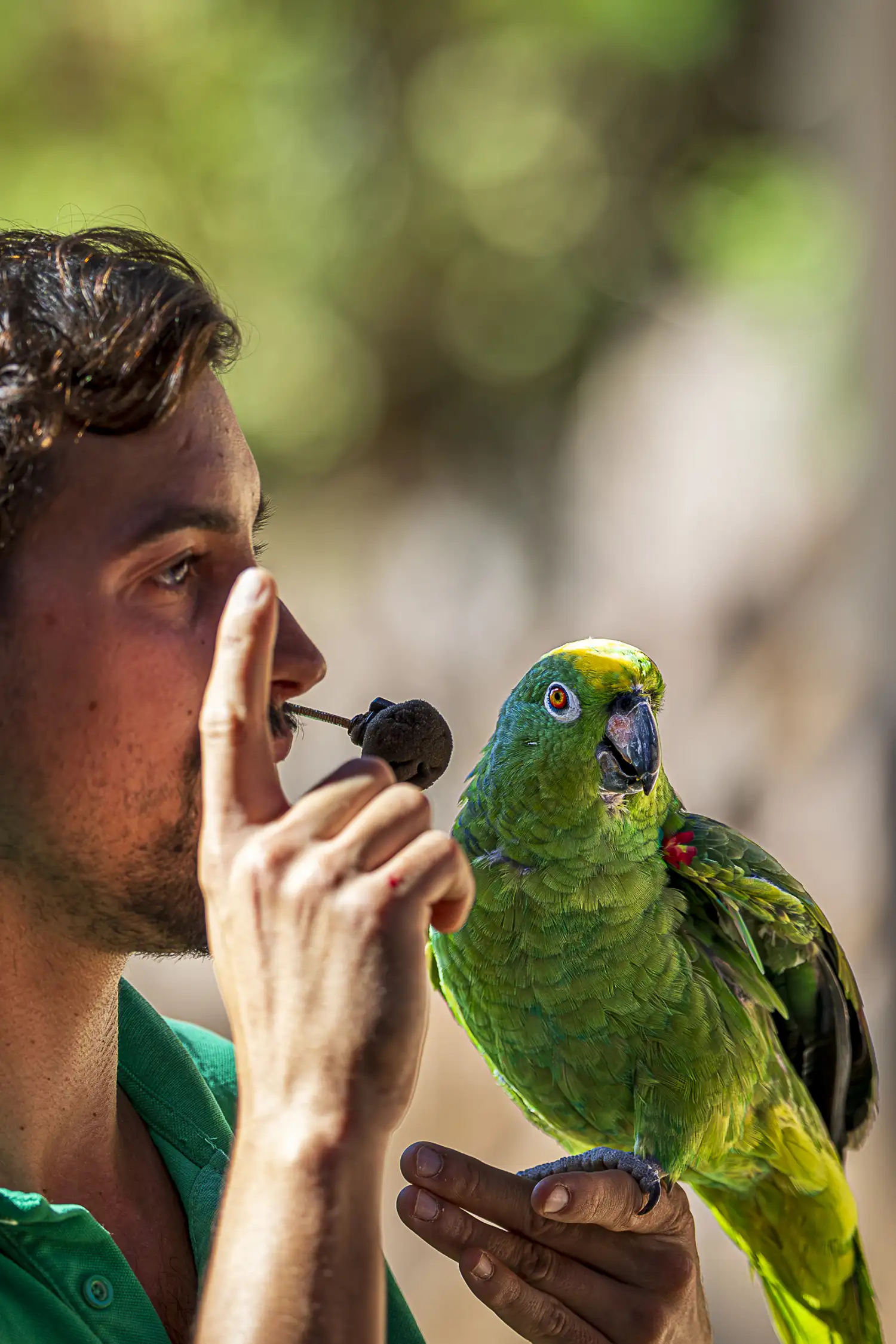 Oasis Wildlife Fuerteventura