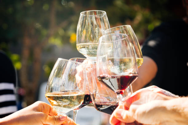 Summer evening with the Bauer & Söhne winery