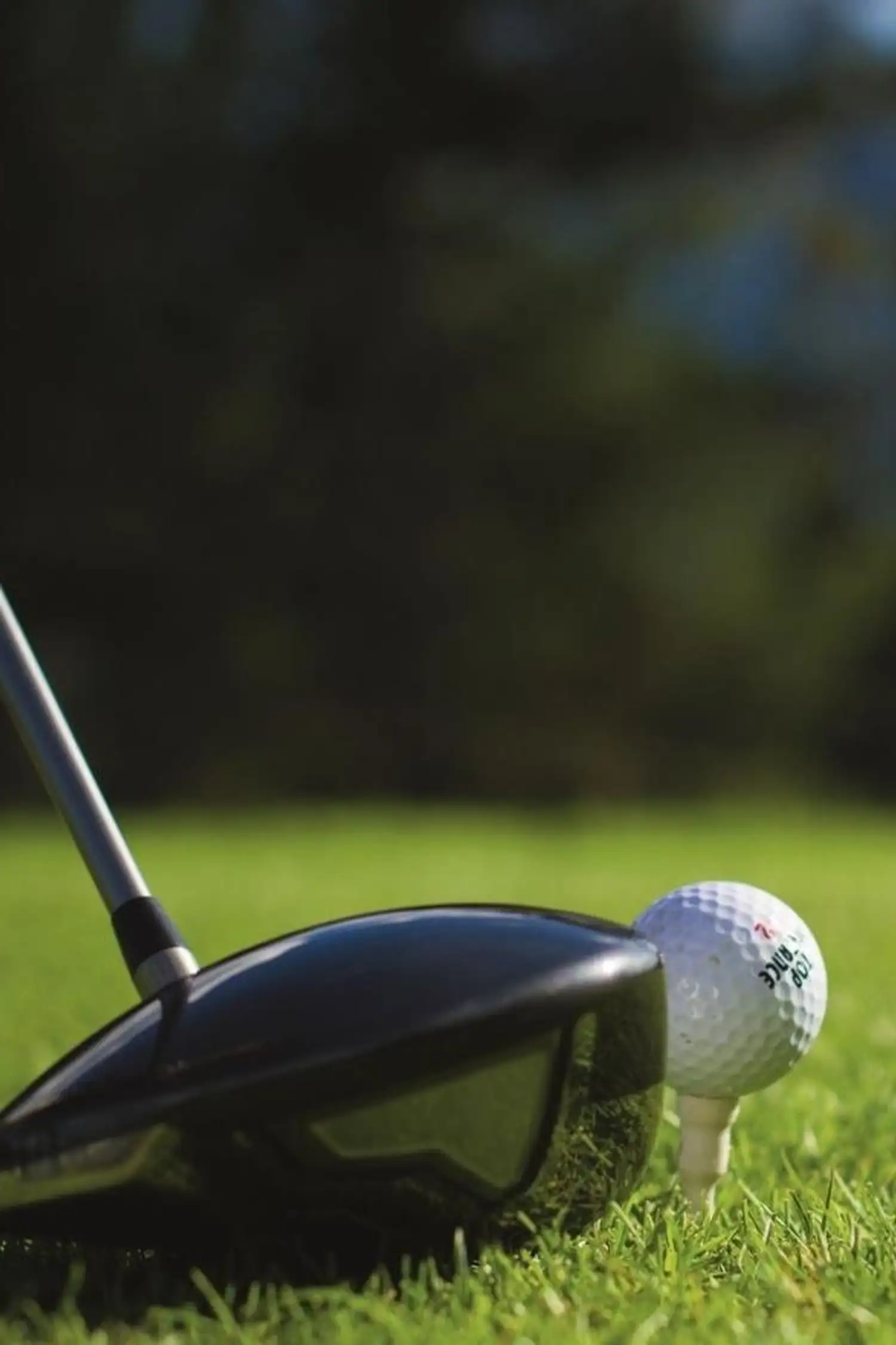 Golfschnupperstunde am Mieminger Plateau in Mieming