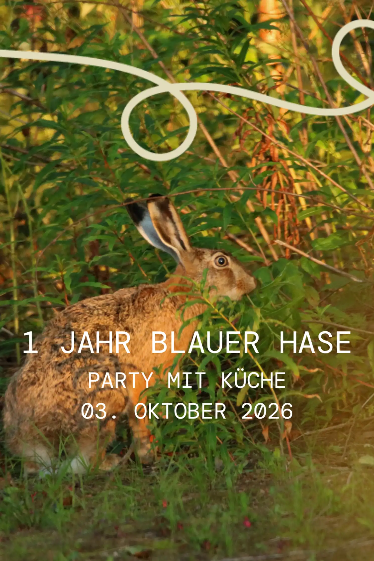 1 Jahr Blauer Hase - Party mit Küche