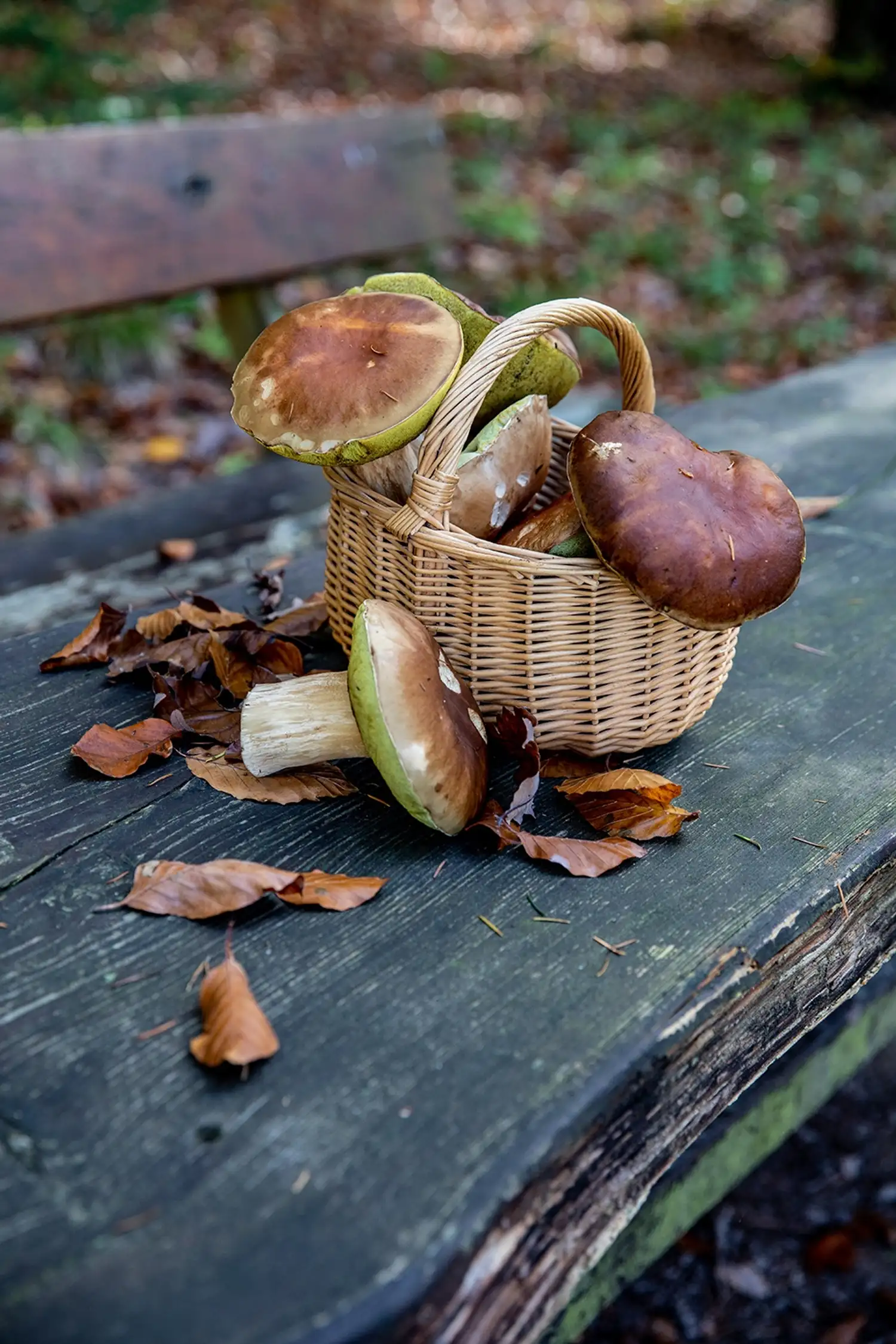Erntedankfest beim Obst- und Gartenbauverein