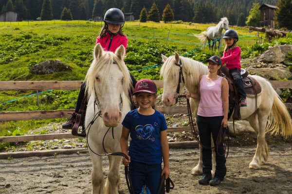 Fun and games with the Vergalda mountain horses