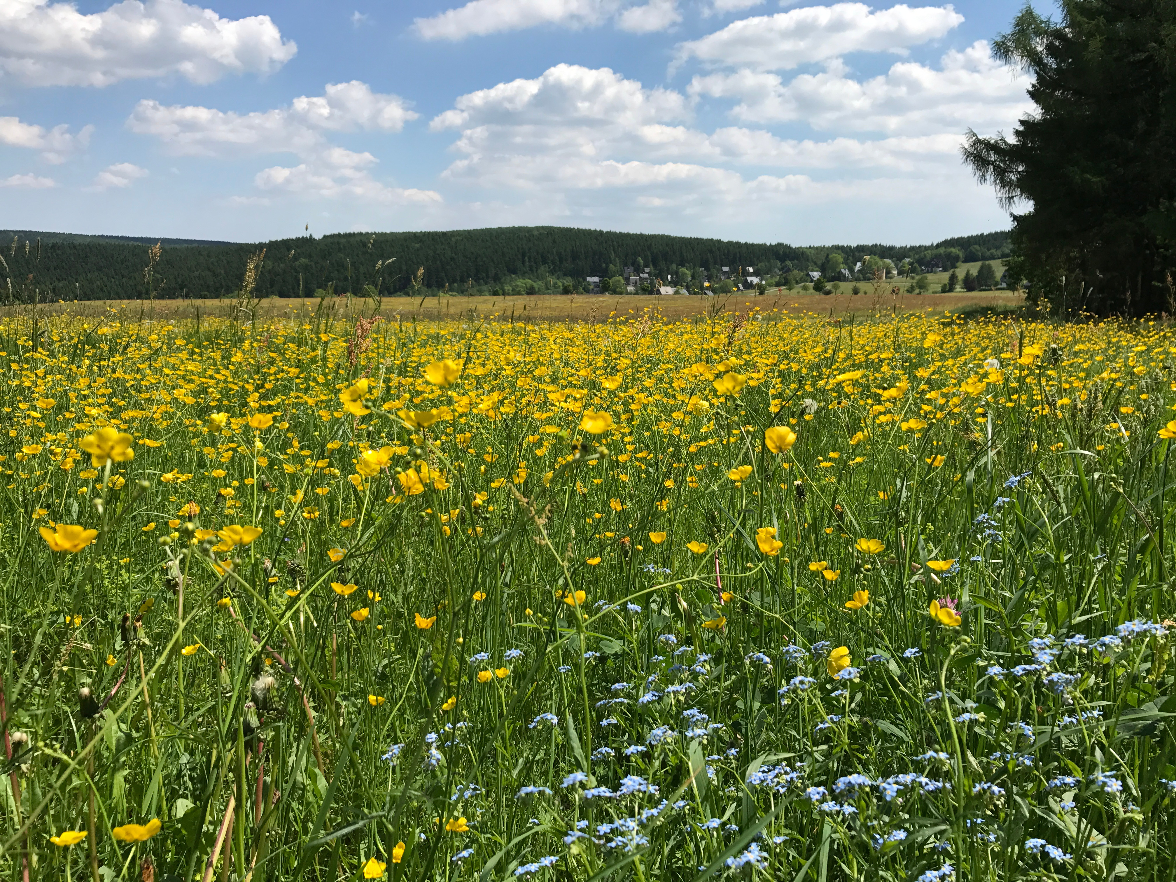 Fall Hiking Week “Around the Schwartenberg” | October 1, 2026 – October 11, 2026