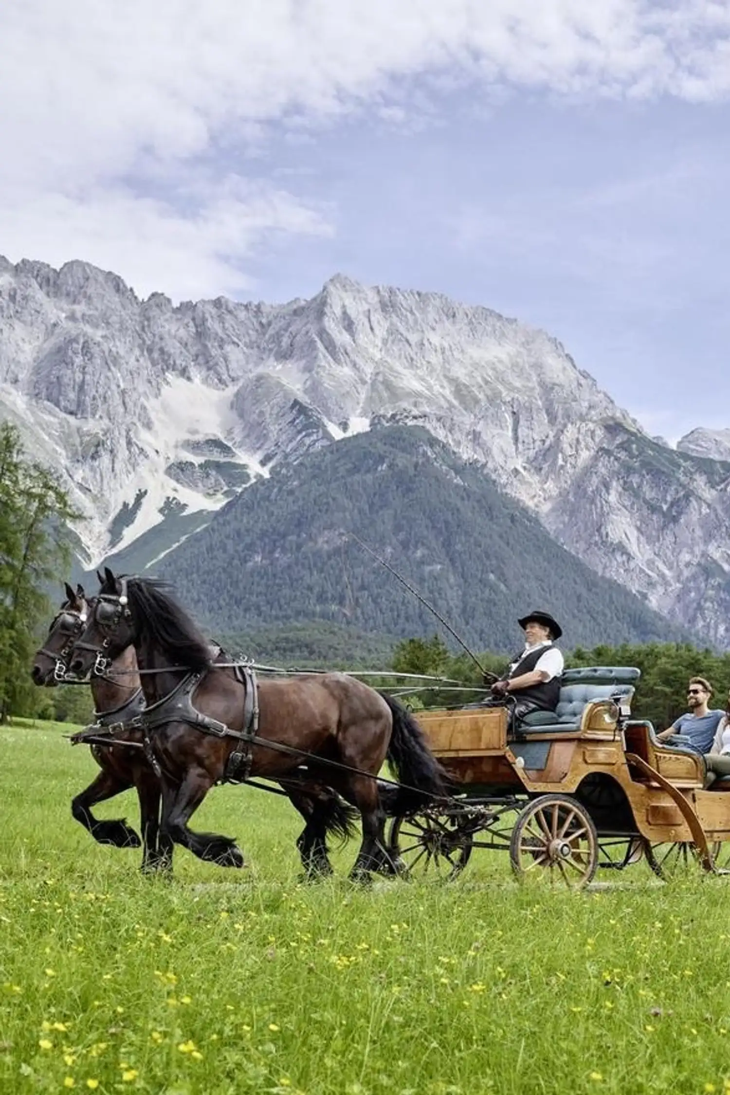 Kutschenfahrt durch die Mooswiesen in Barwies
