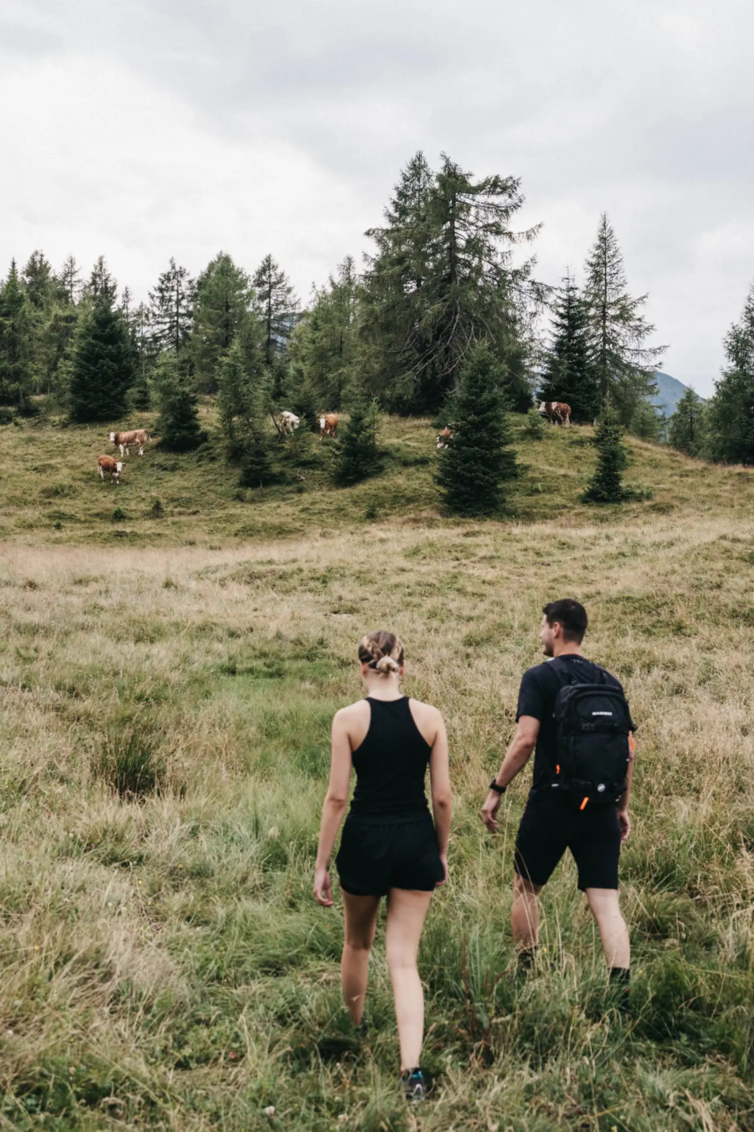 WANDERBUS Herbie | Panoramaweg am Fuße des Hochkönigs, vom Dientnersattel zum Arthurhaus