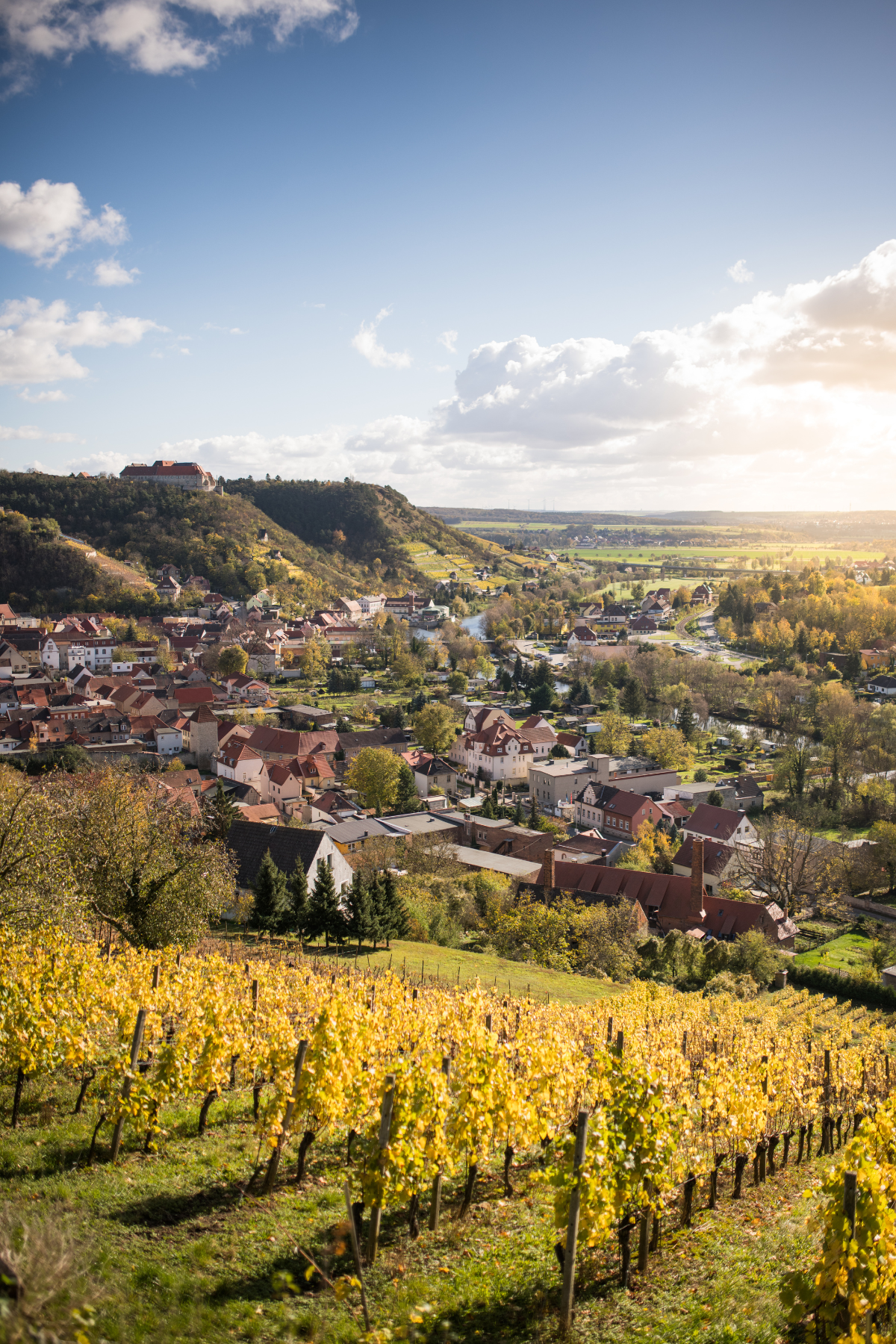 Picknick in Freyburg – Genussmomente zwischen Weinreben und Unstrut