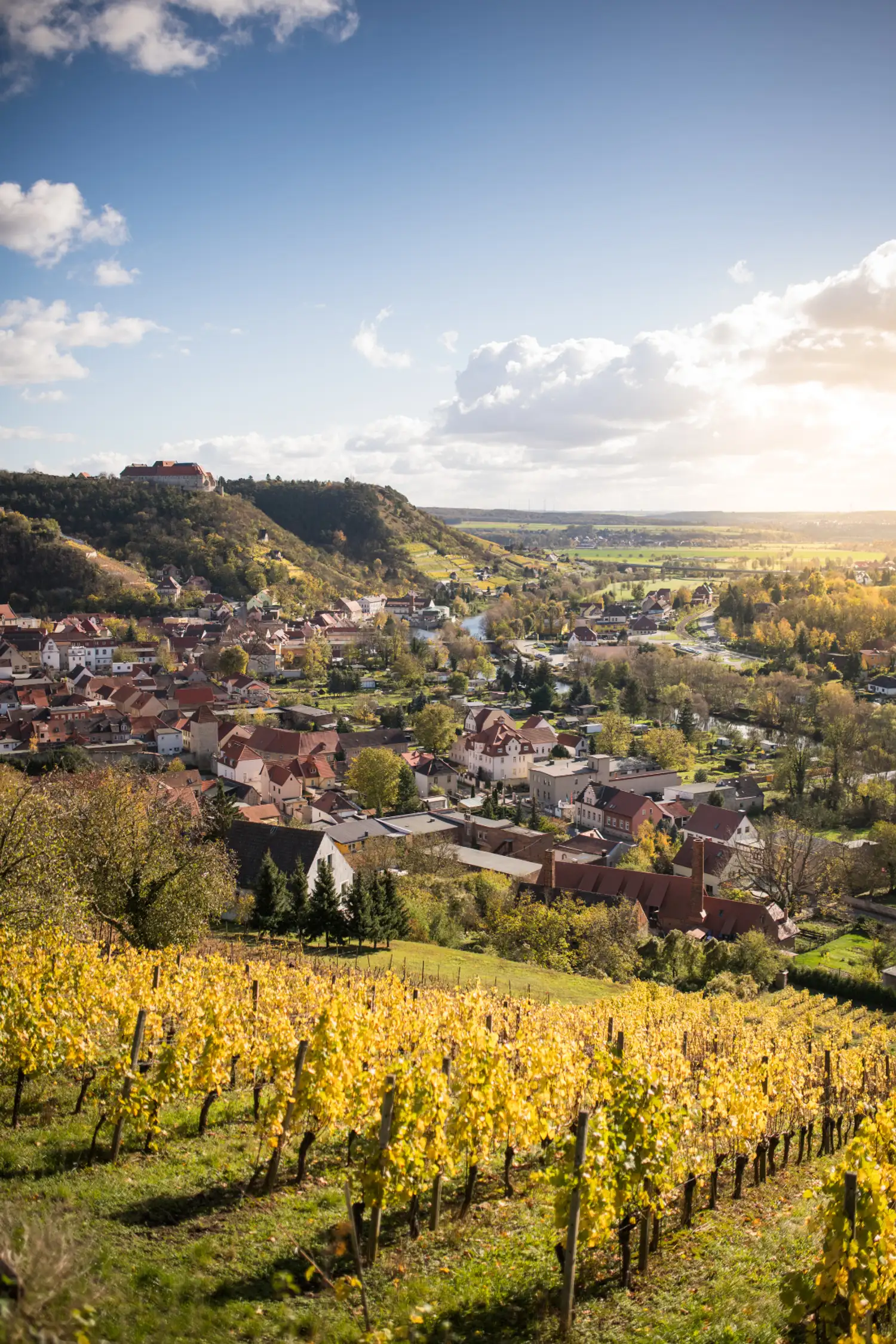 Picknick in Freyburg – Genussmomente zwischen Weinreben und Unstrut