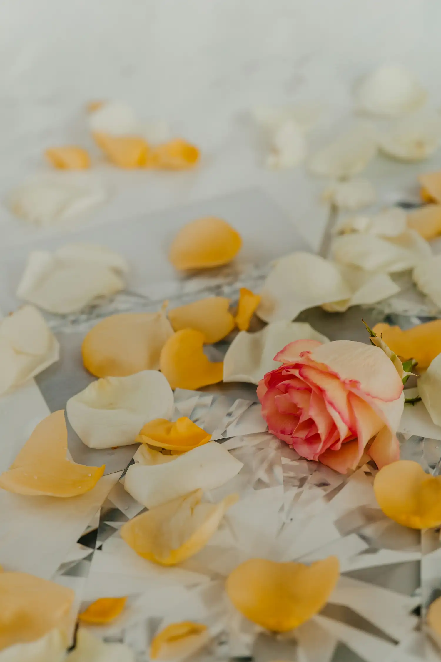Romantik Package