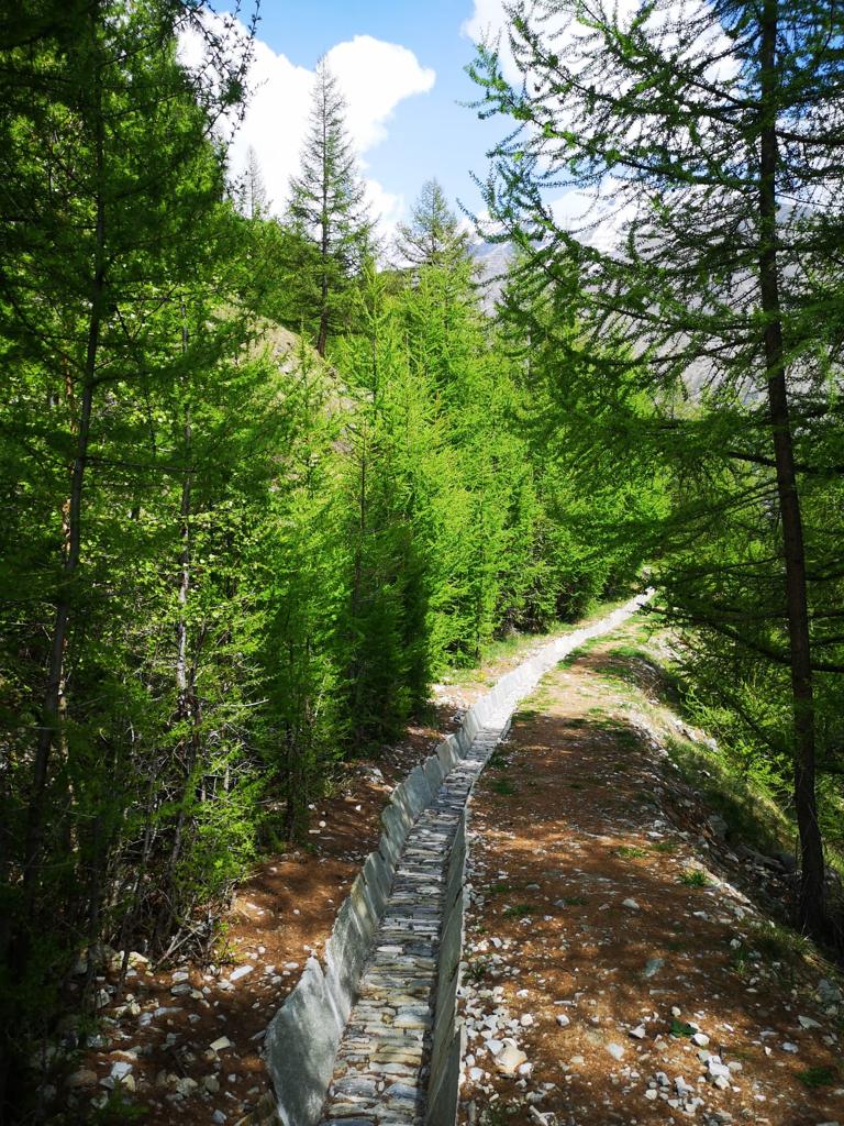 Suonen Wanderung