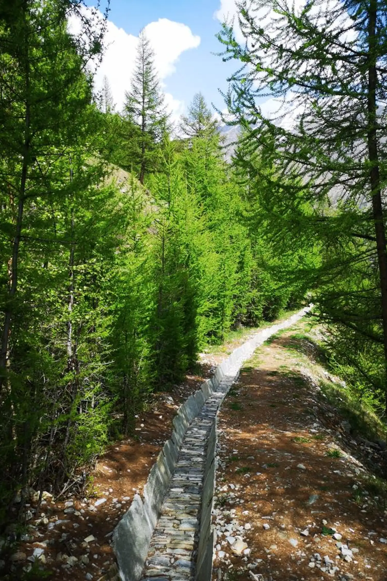 Randonnée le long des suones