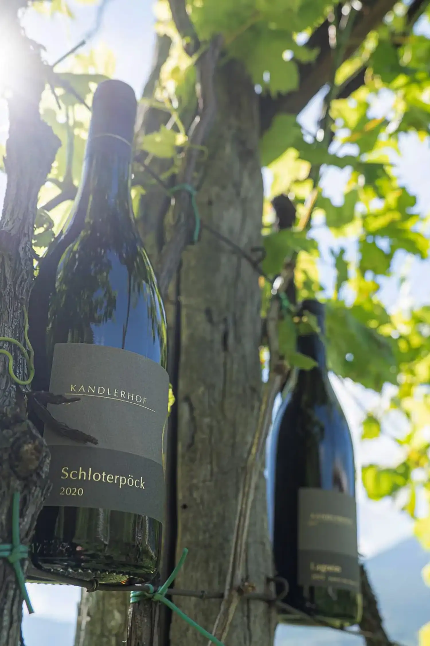 Wine Tasting with Kandlerhof