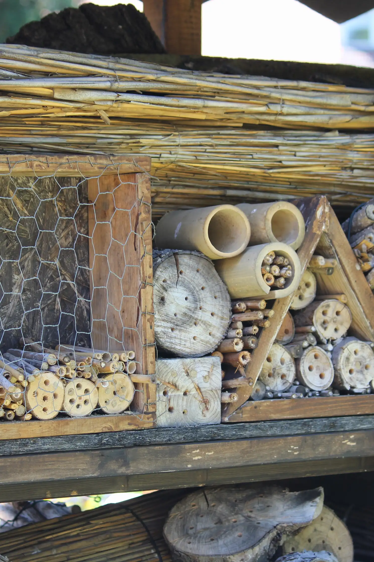  We are building a large insect & wild bee hotel in our Happy Garden