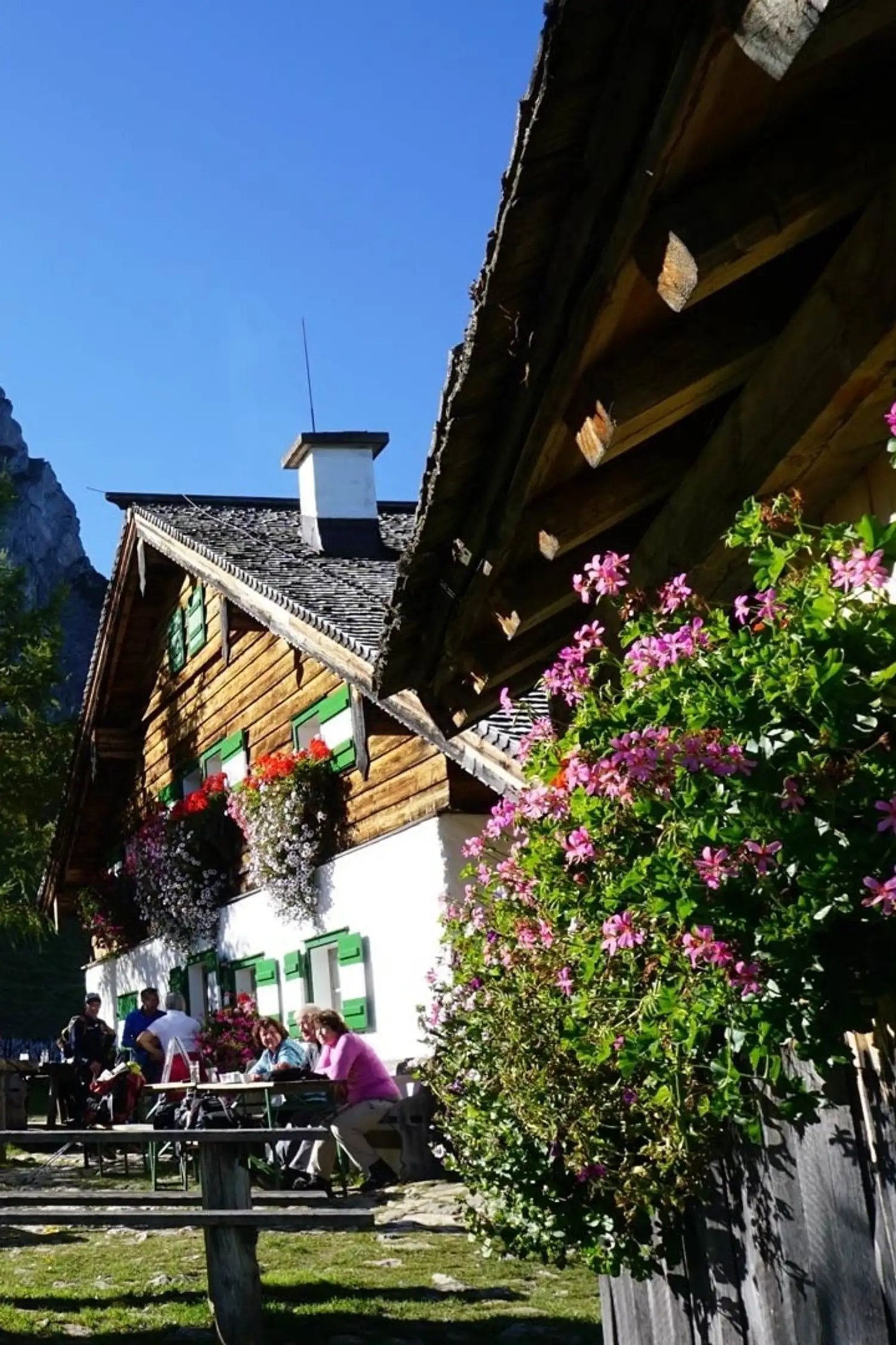 Medium hike to Mitterfeldalm (1690m) via Steinalm (1268m). Bring your Mobility Ticket.