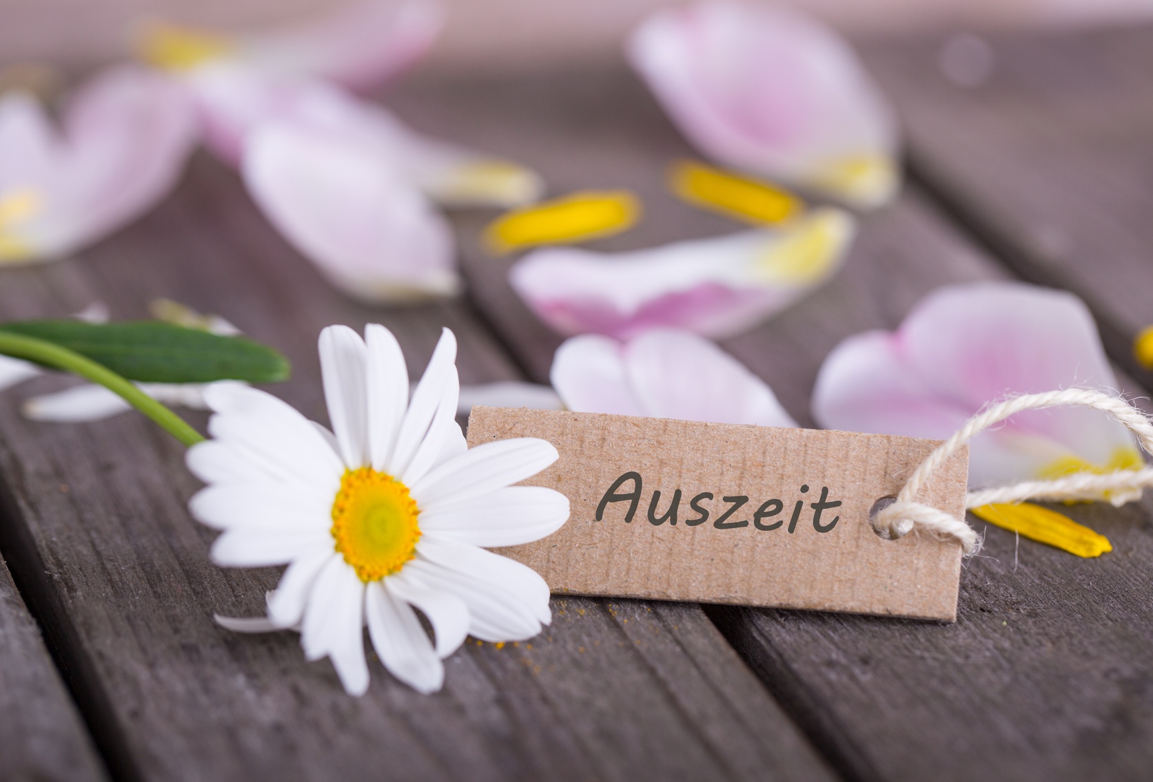 Aromaölmassage im Gut Berg 