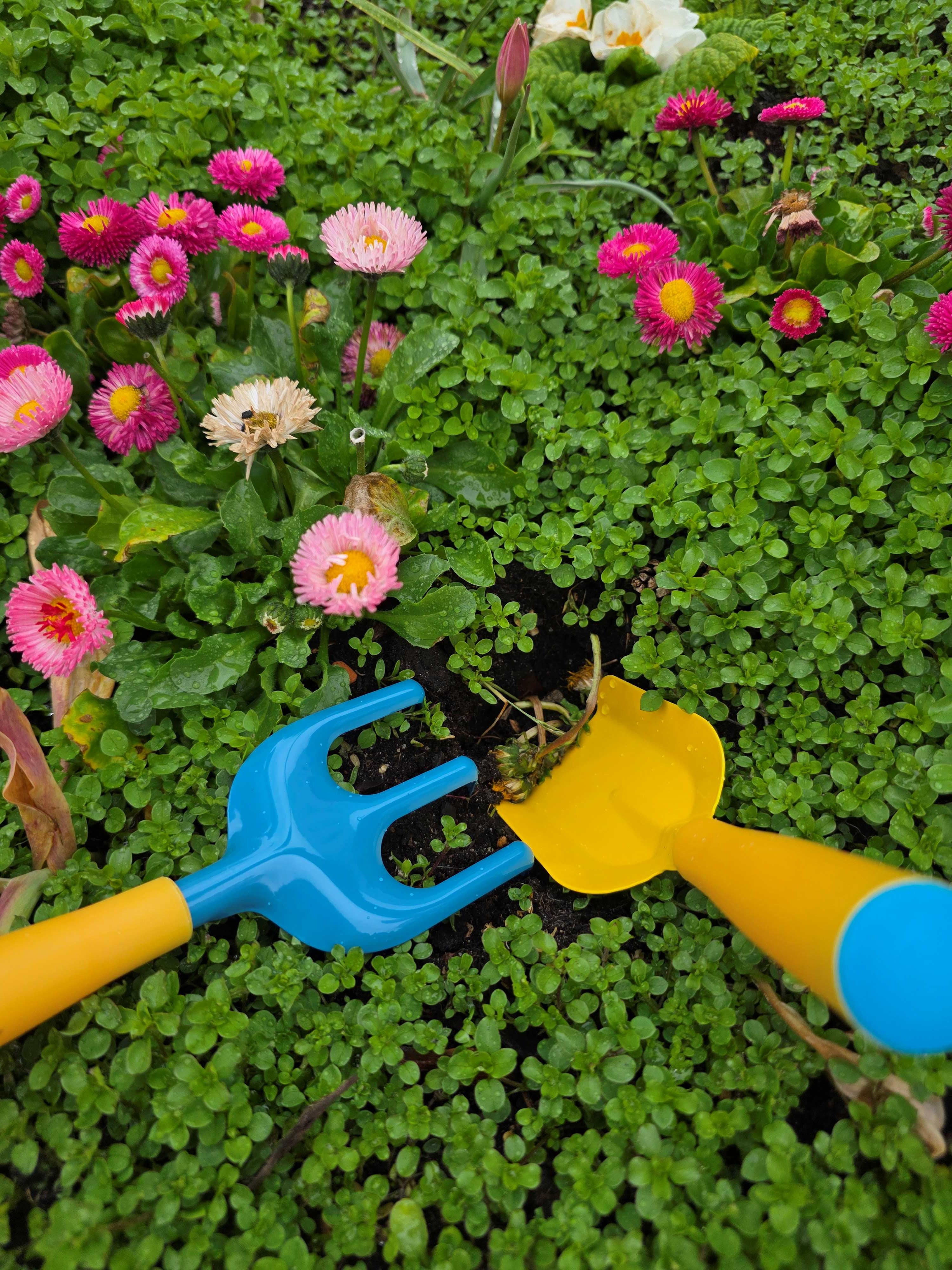 Gardening in our hands-on garden