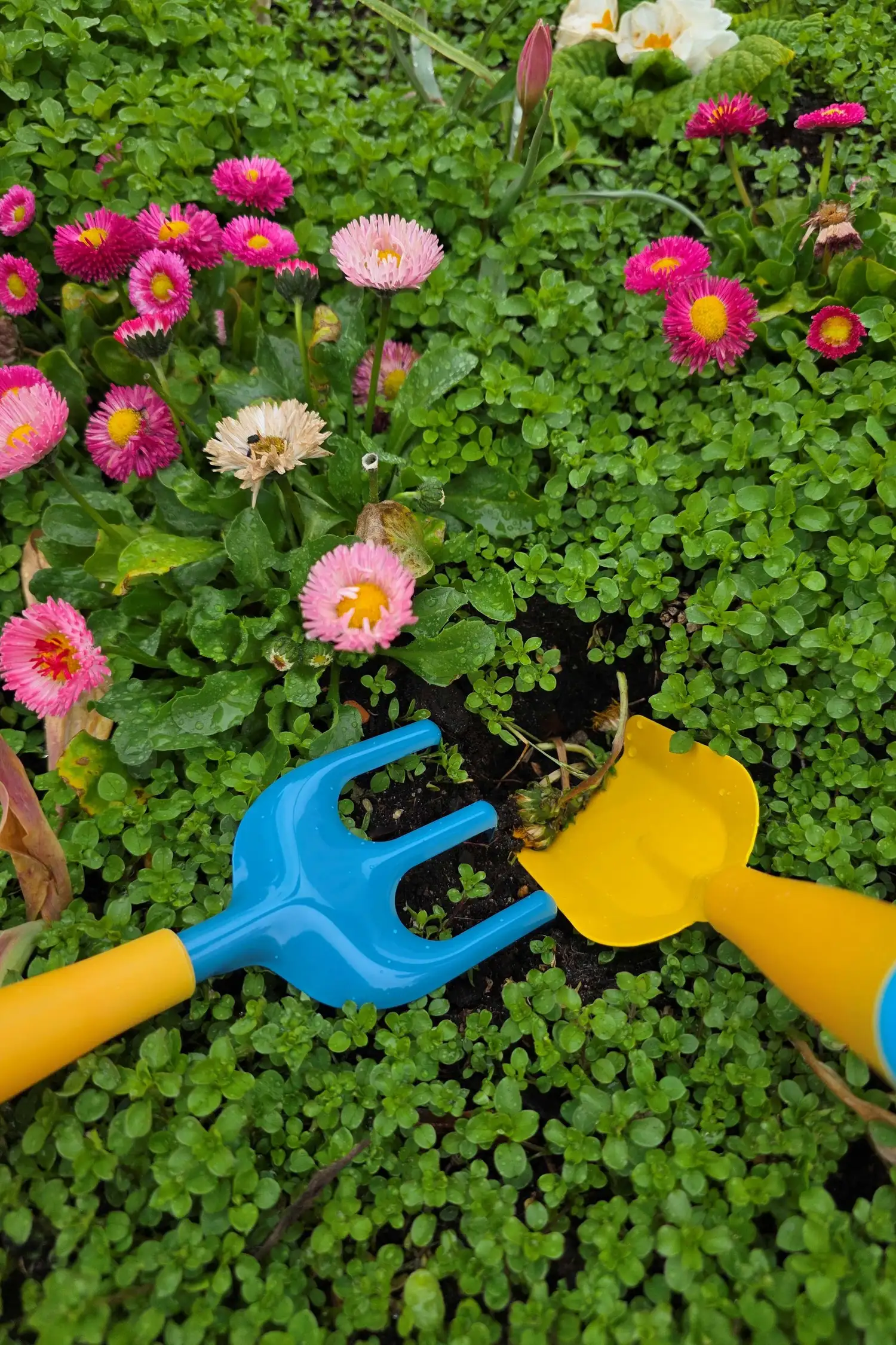 Gärtnern in unserem Mitmachgarten