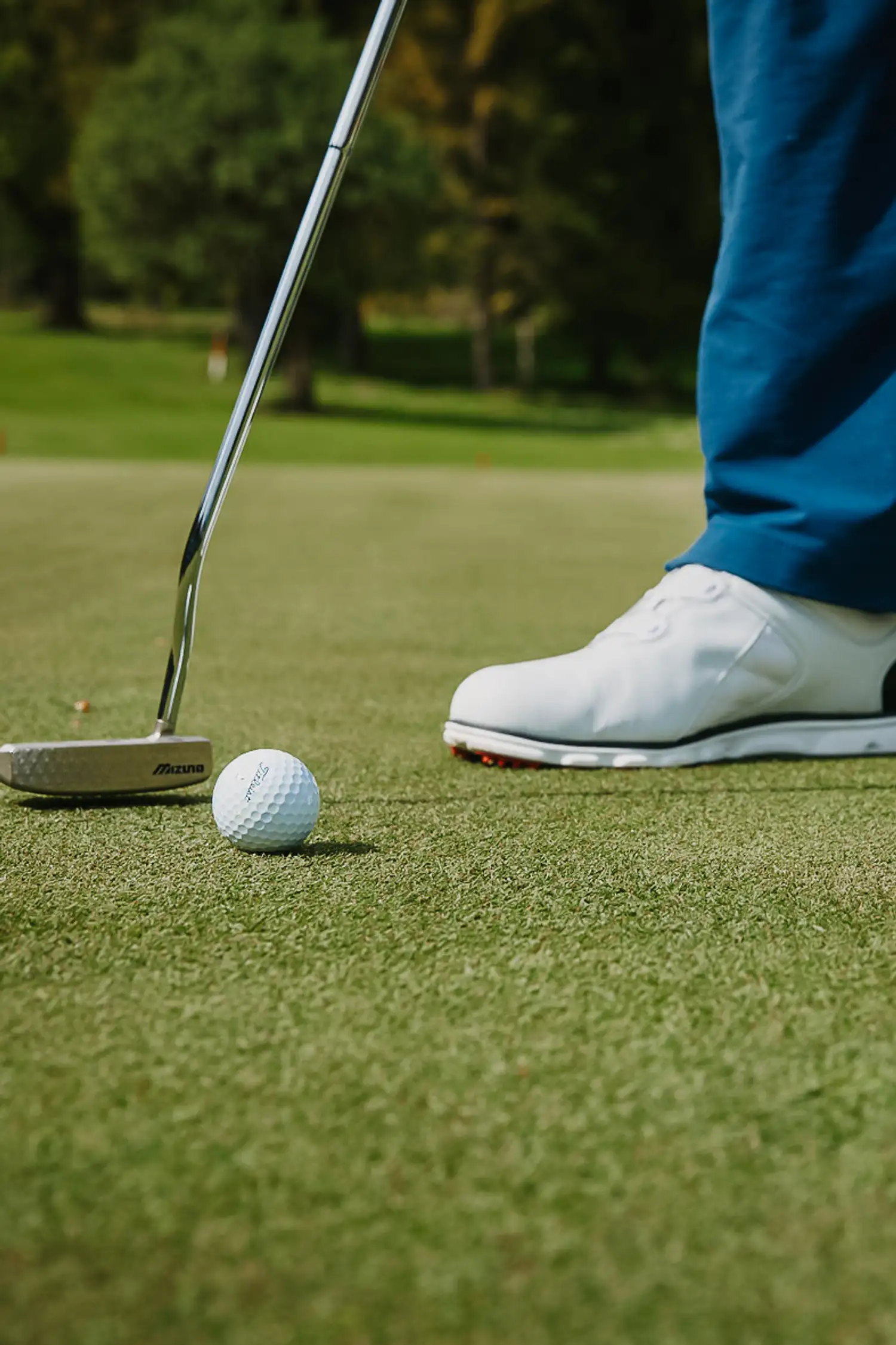 Golf taster course