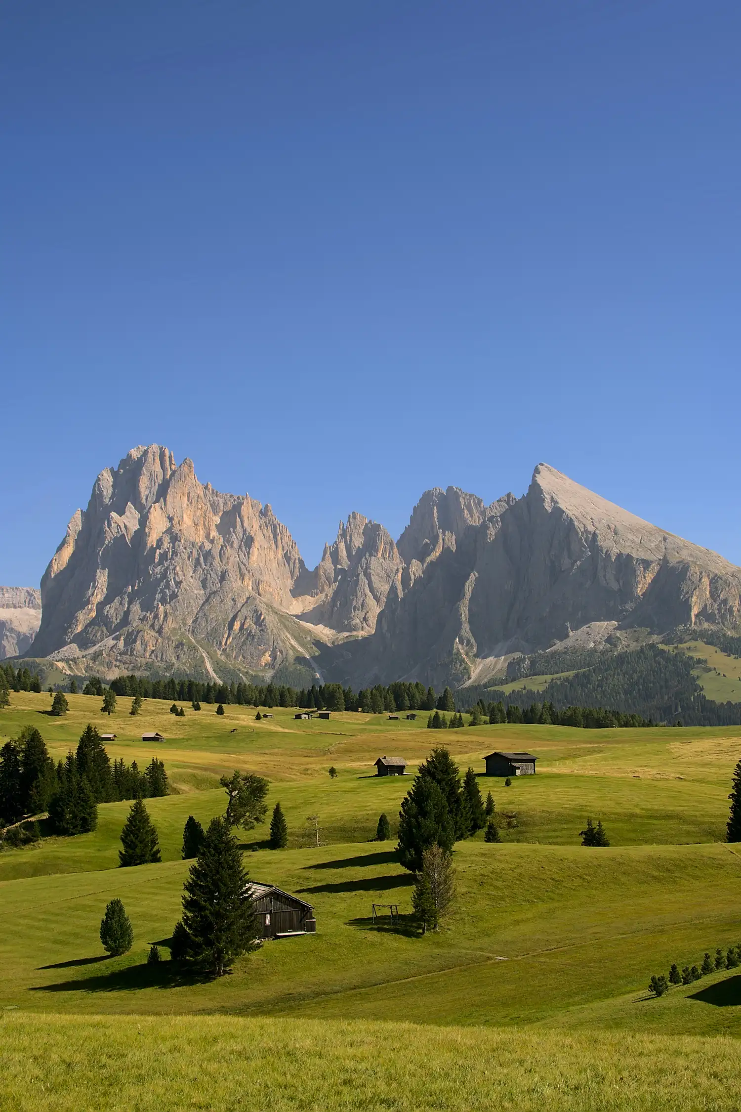 Seiser Alm – Europe's Largest Alpine Pasture