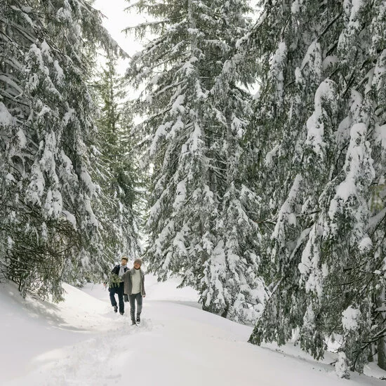 Geführte Wanderungen