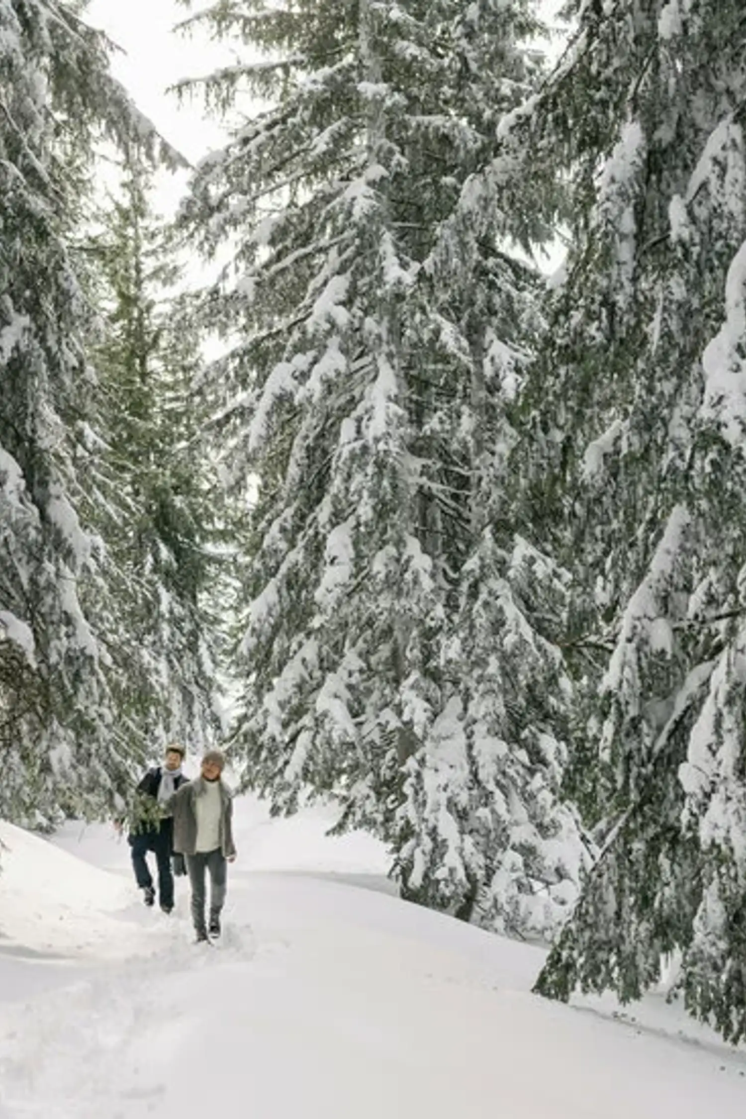 Geführte Wanderungen