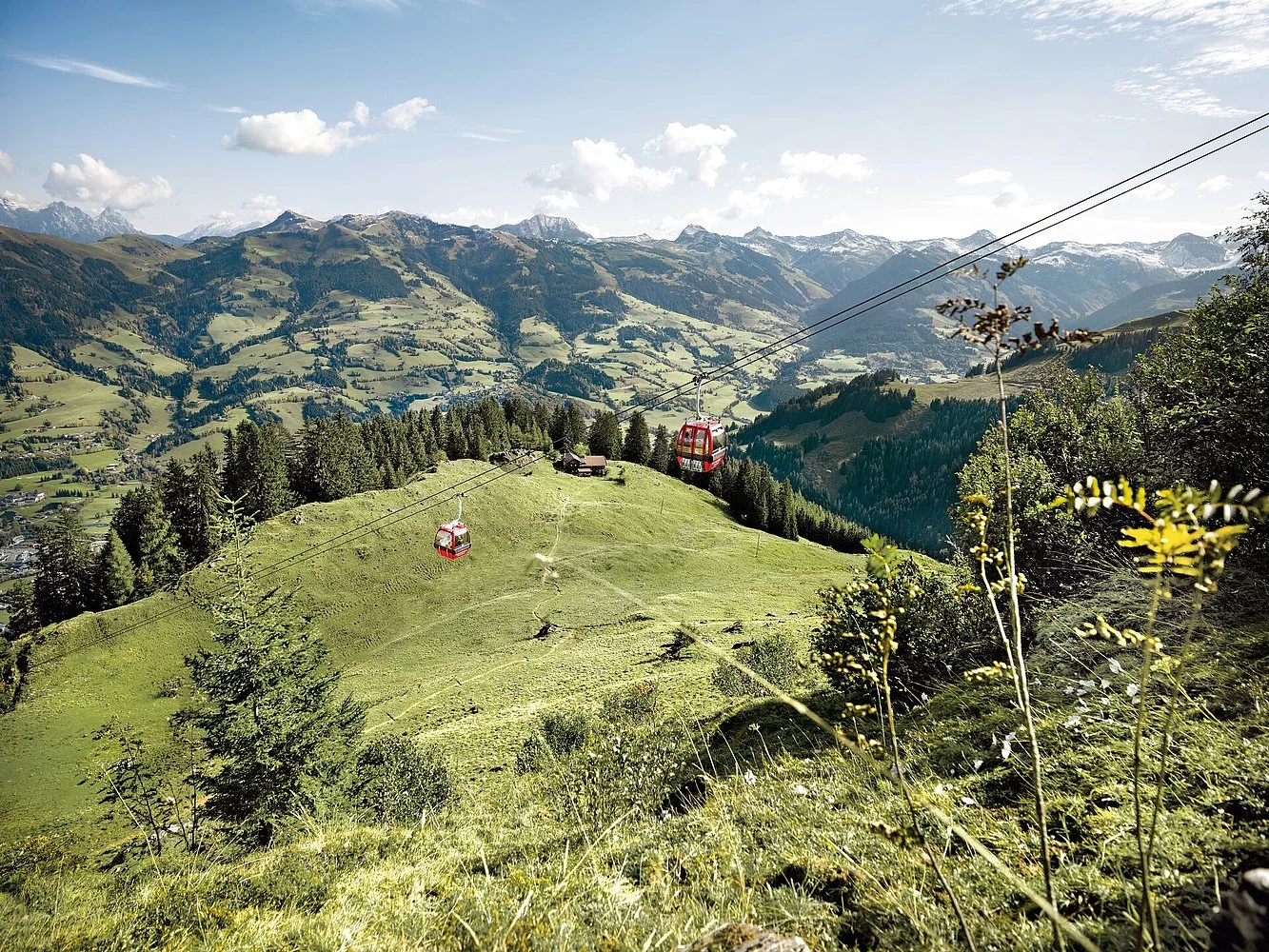 Guided summer hike