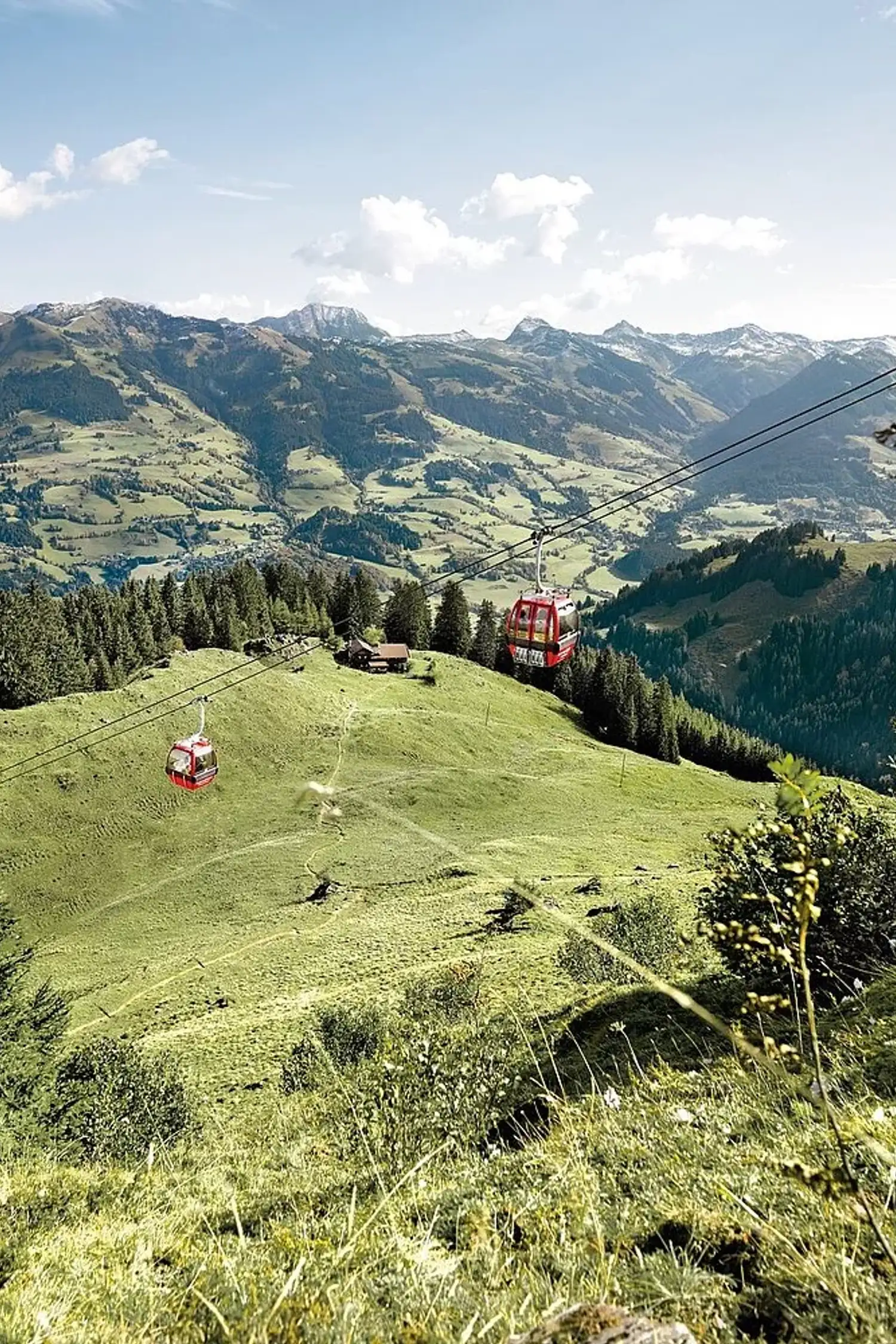 Geführte Sommerwanderung