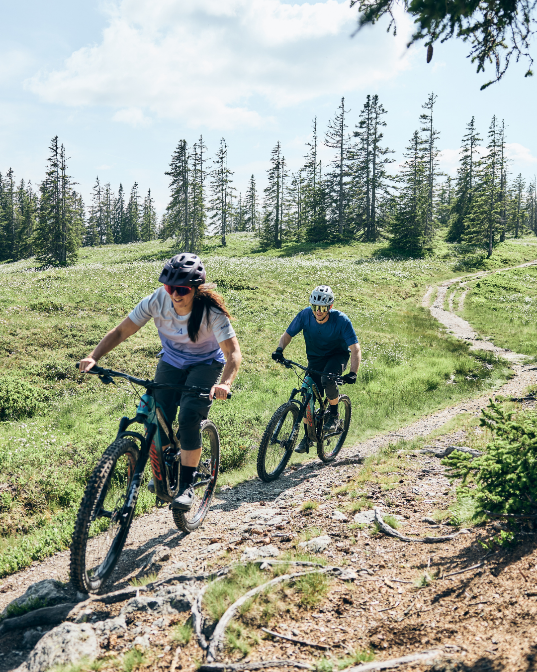 Our mountain bike tour tip: Frauenalm