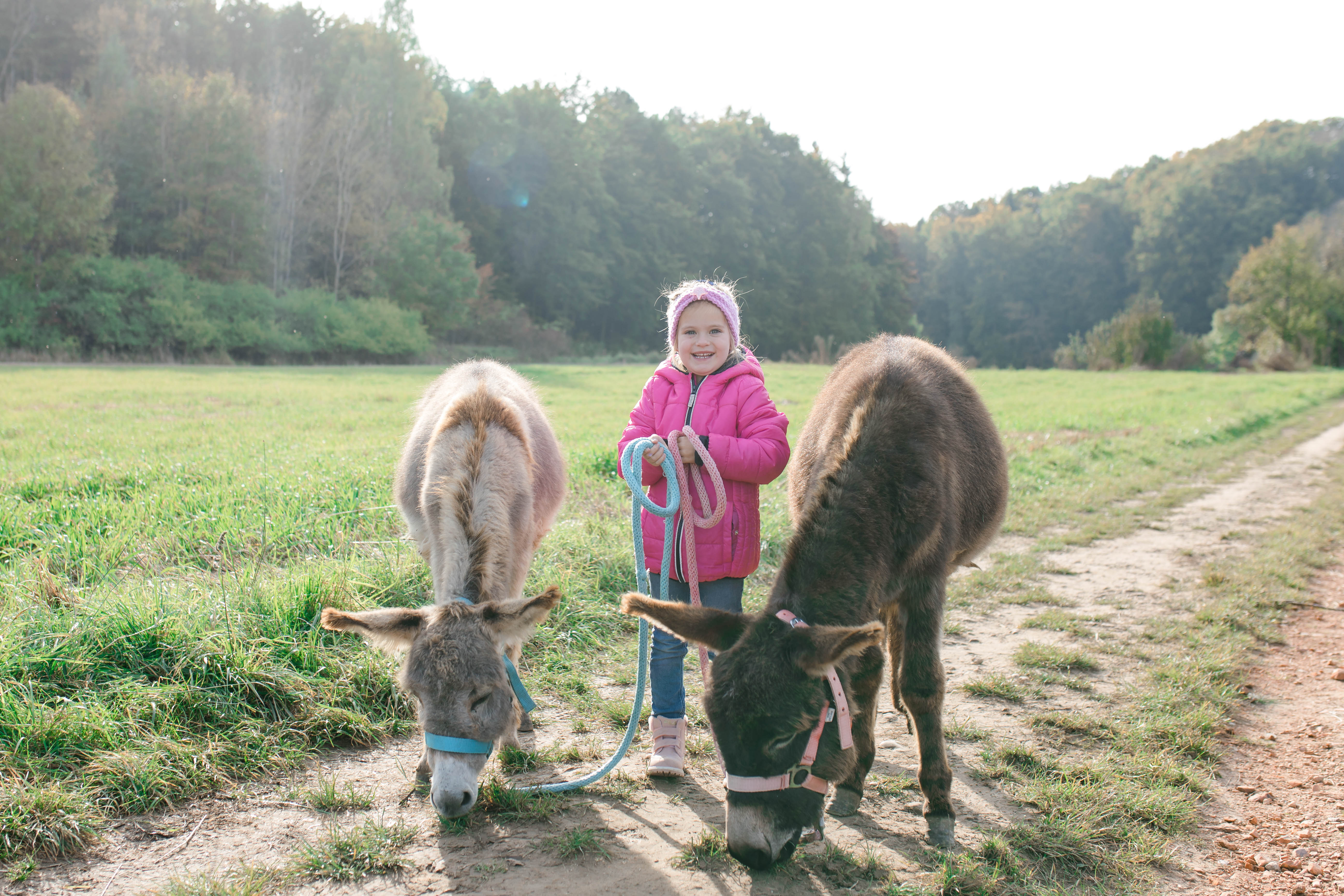 Donkey Walk