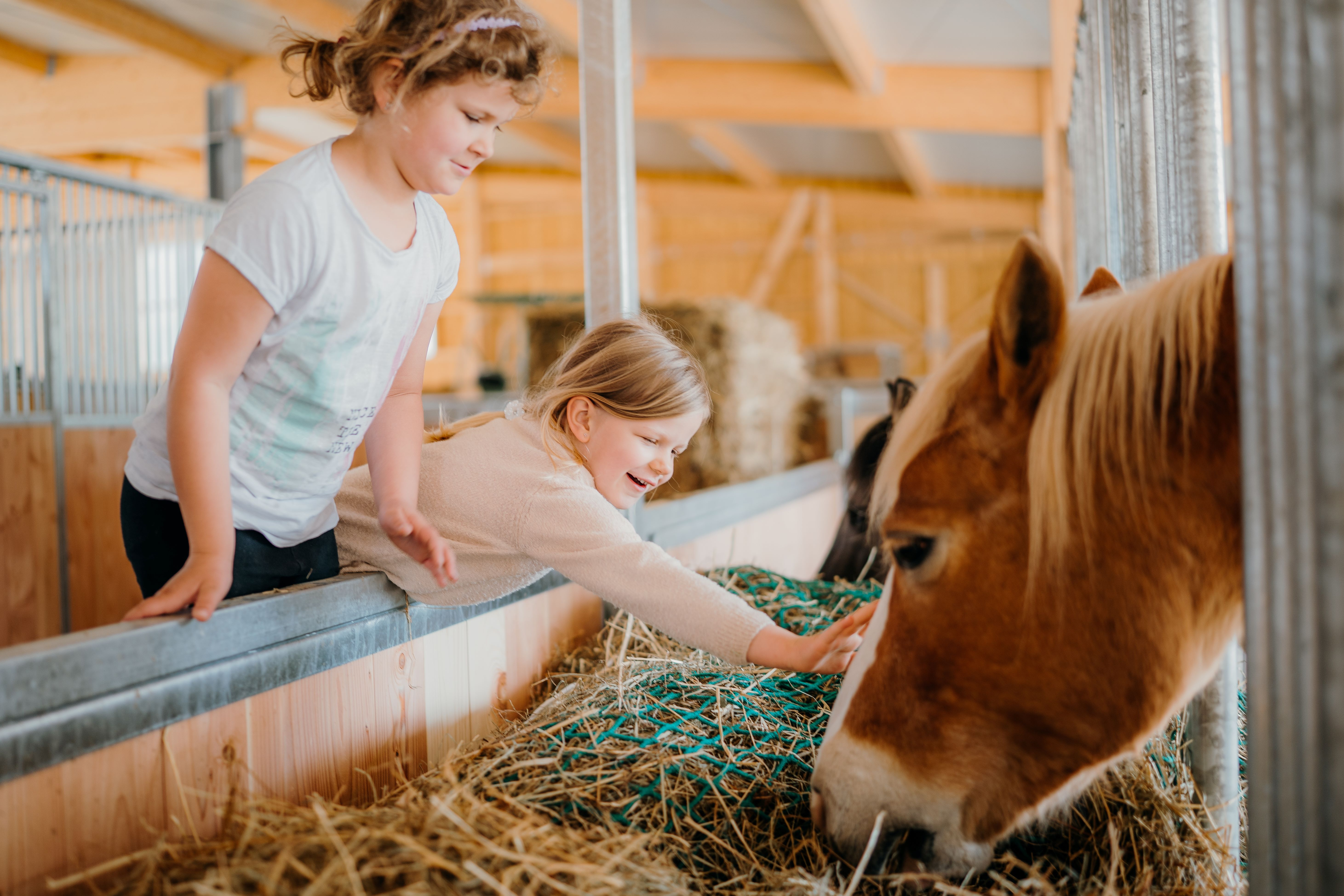 Stallarbeit