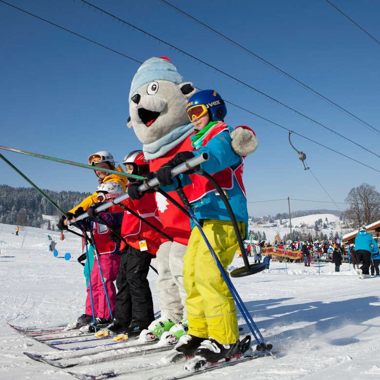 Skilifte Sinswang