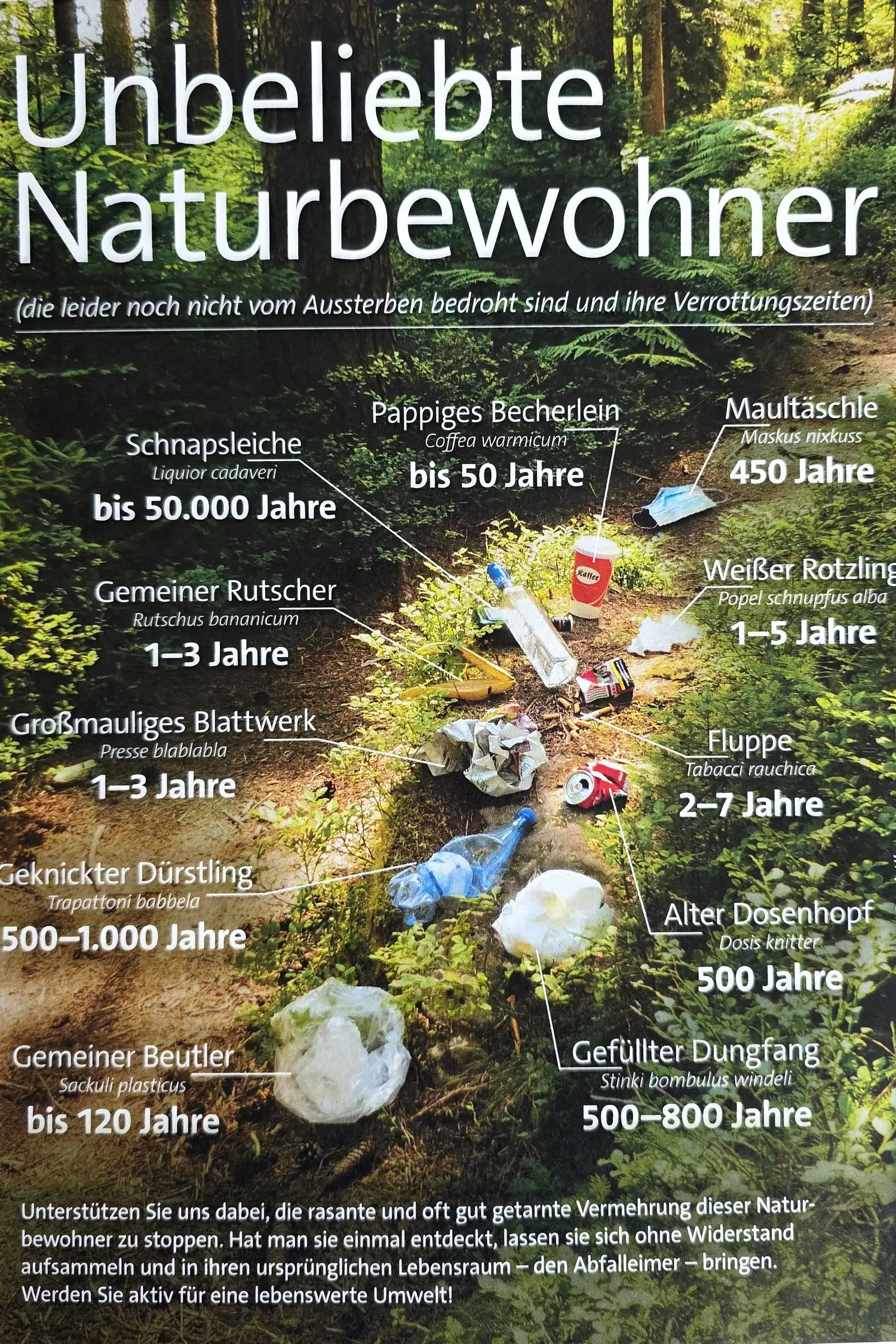 CleanUp Day – Gemeinsam für eine saubere Natur