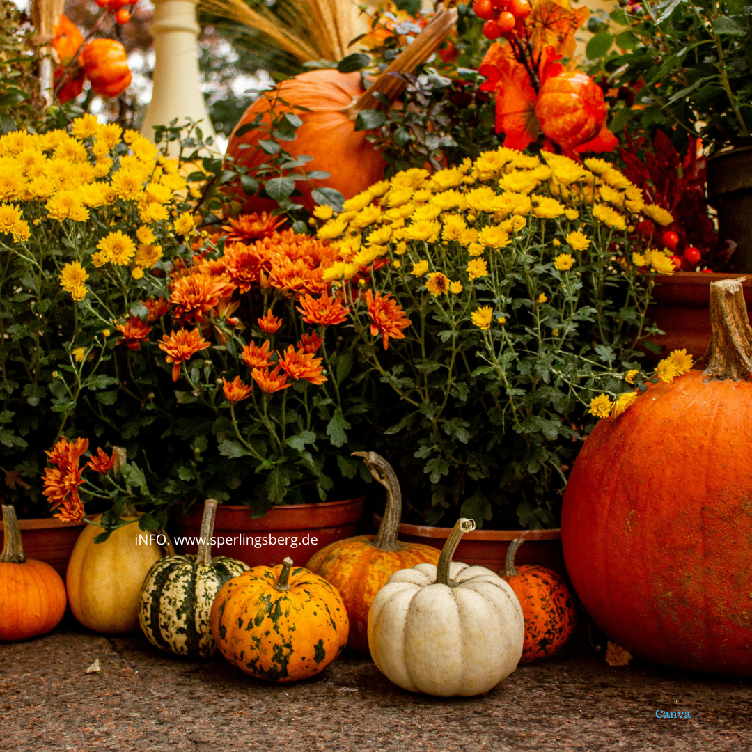 Autumn festival & big children's program